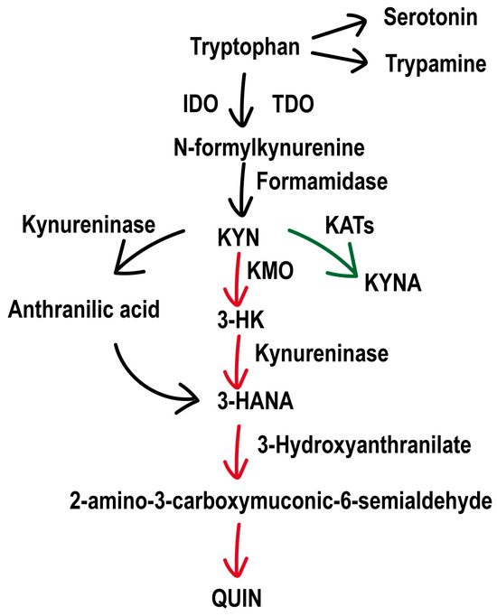 KMO Inhibition Improves Seizures and Depressive-like Behaviors