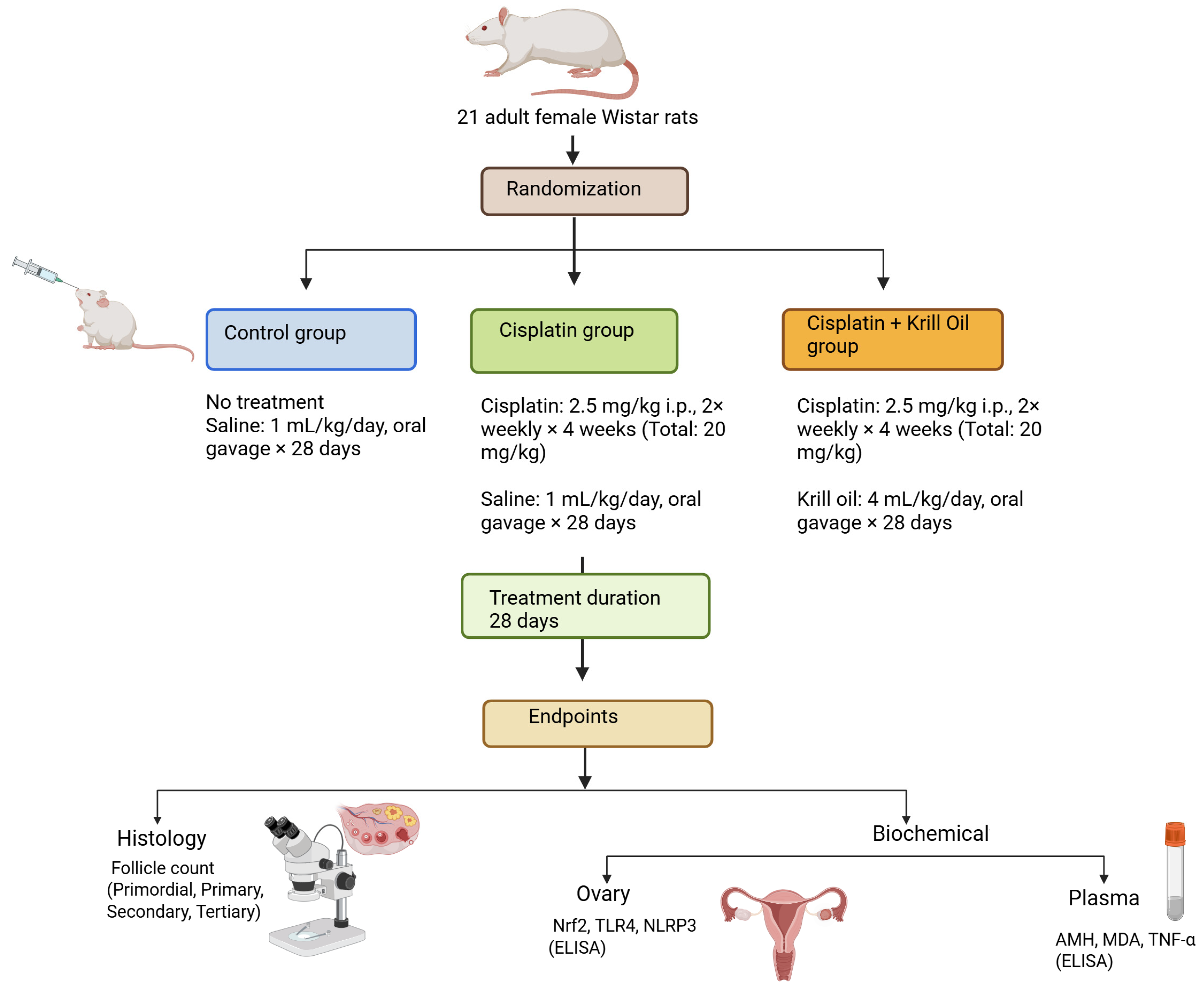Cimb 47 00708 g001 Cimb 47 00708 g001