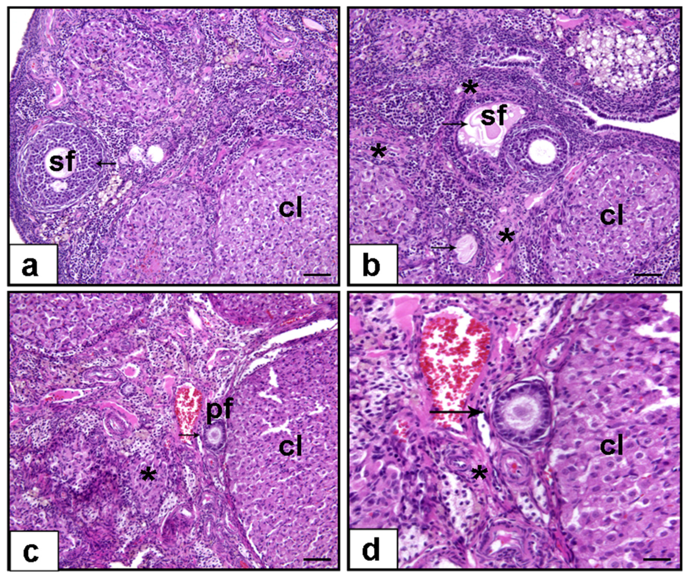 Cimb 47 00708 g002 Cimb 47 00708 g002