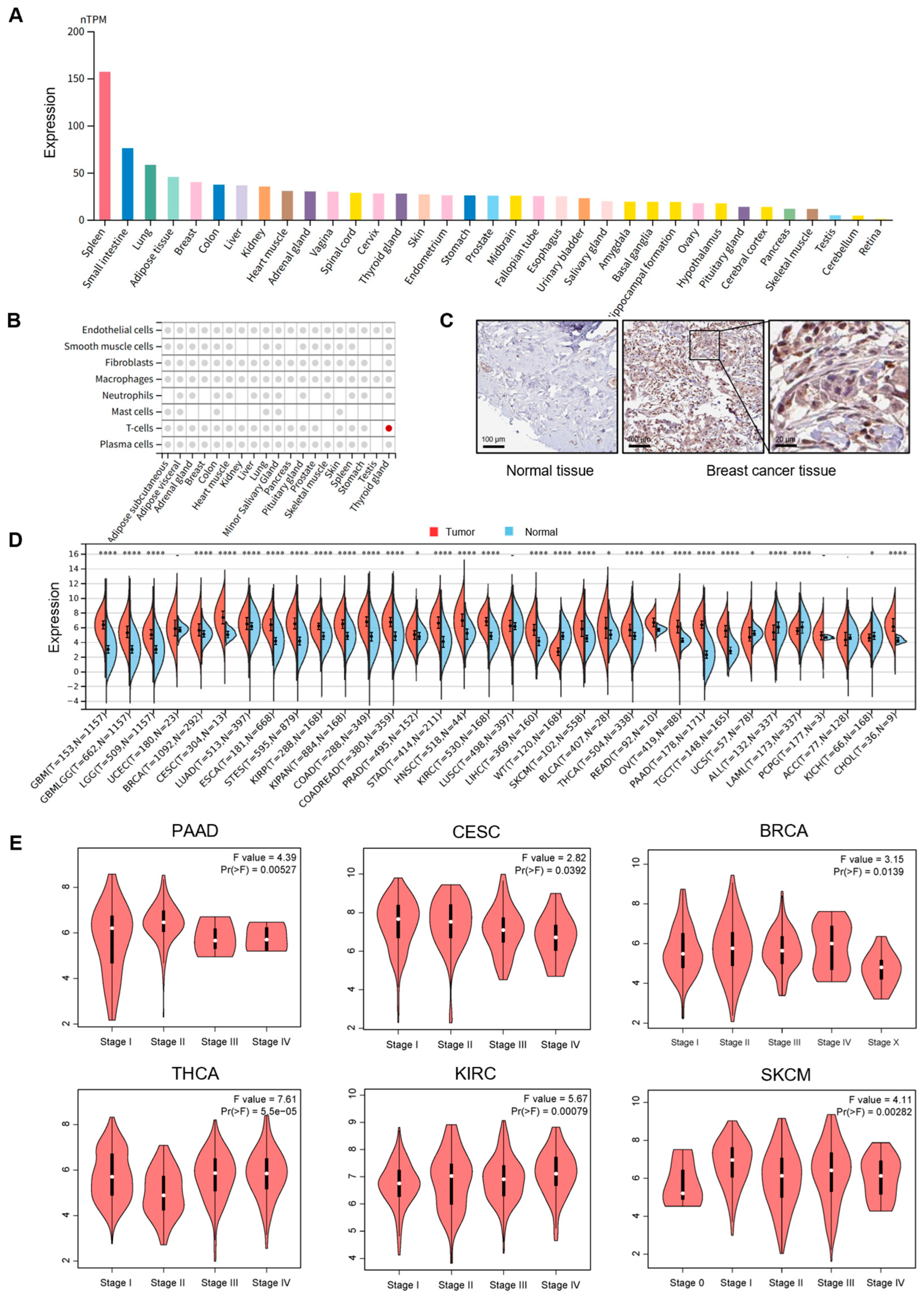 Cimb 47 00712 g001 Cimb 47 00712 g001