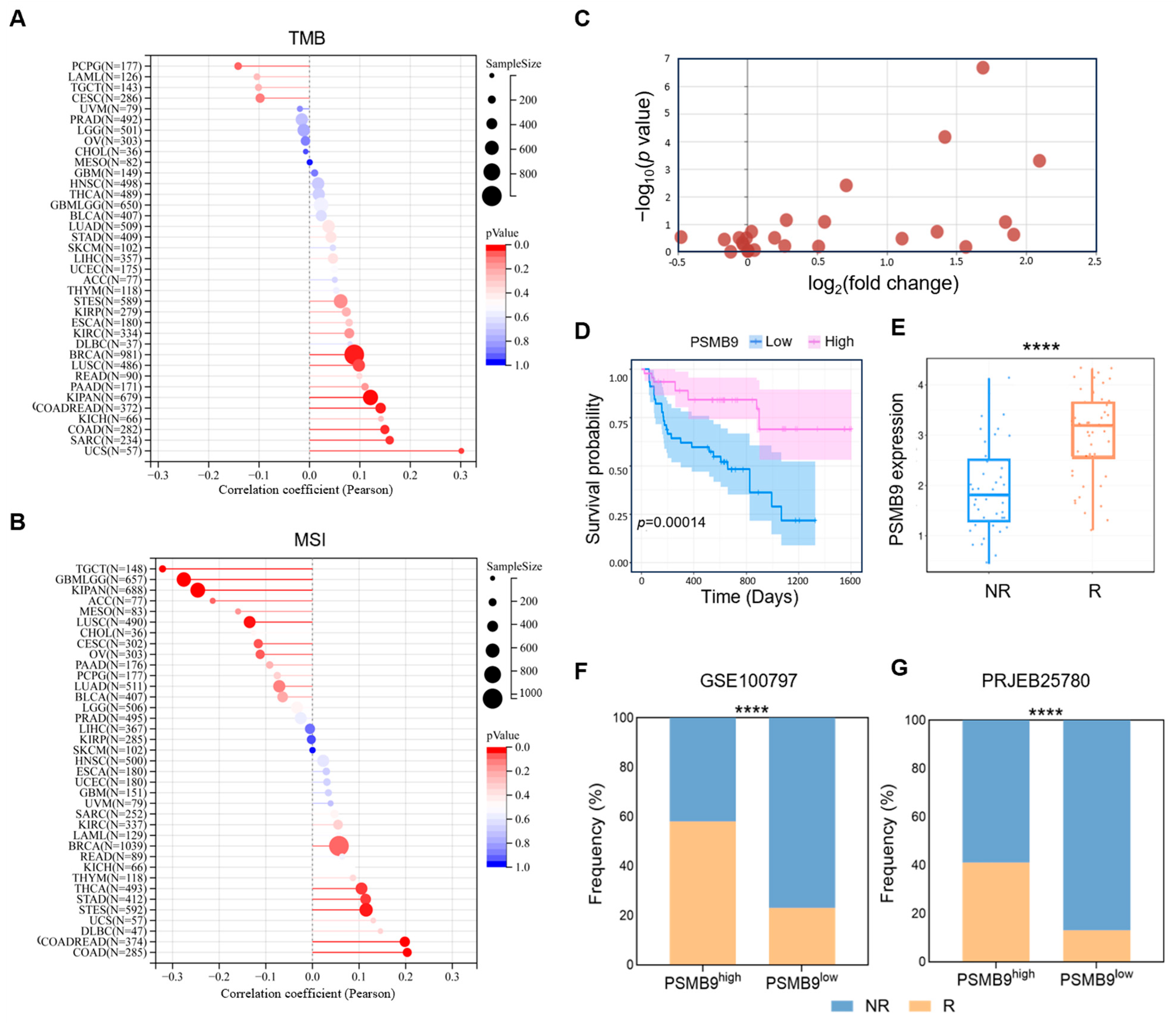 Cimb 47 00712 g006 Cimb 47 00712 g006