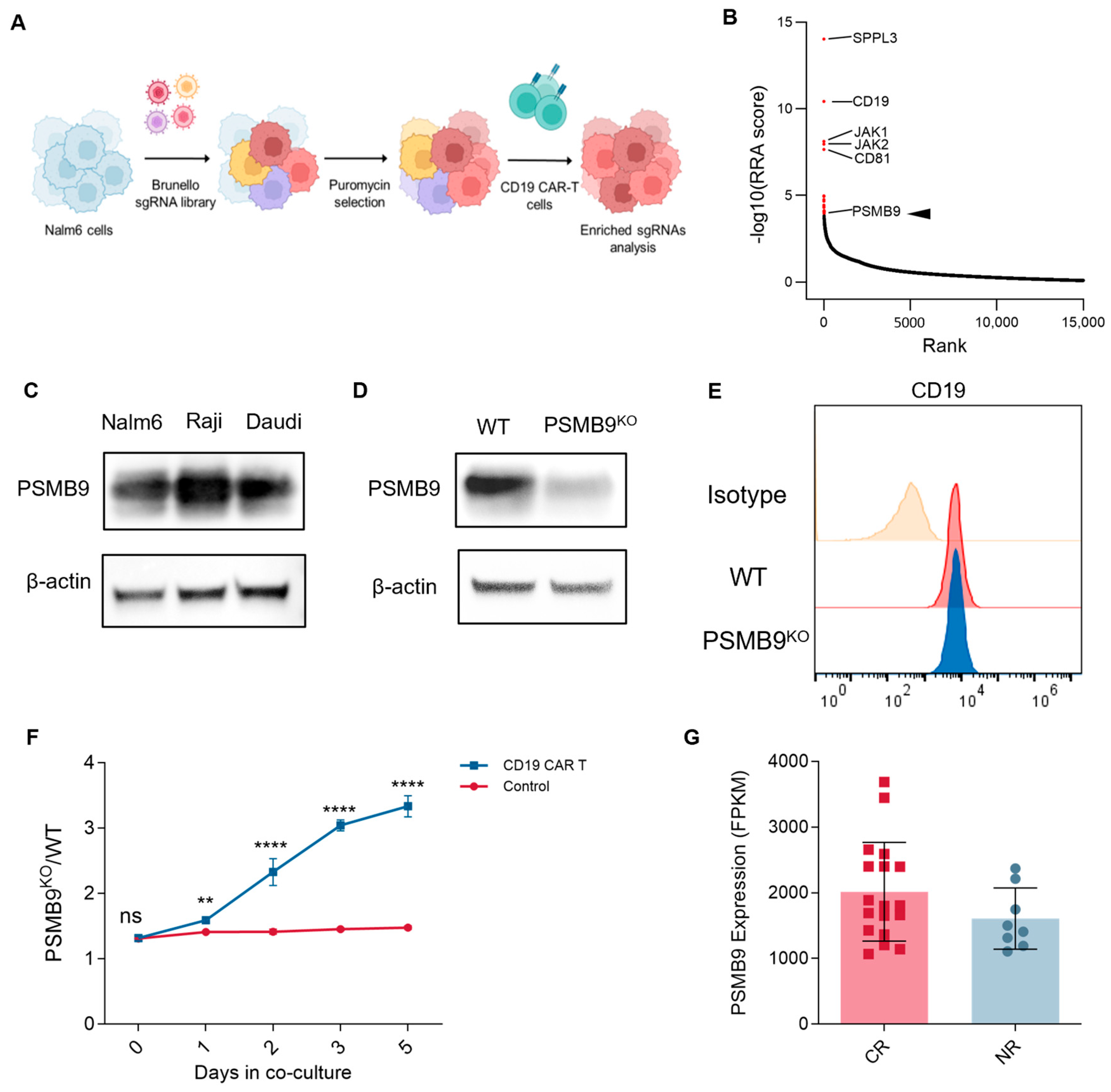 Cimb 47 00712 g007 Cimb 47 00712 g007