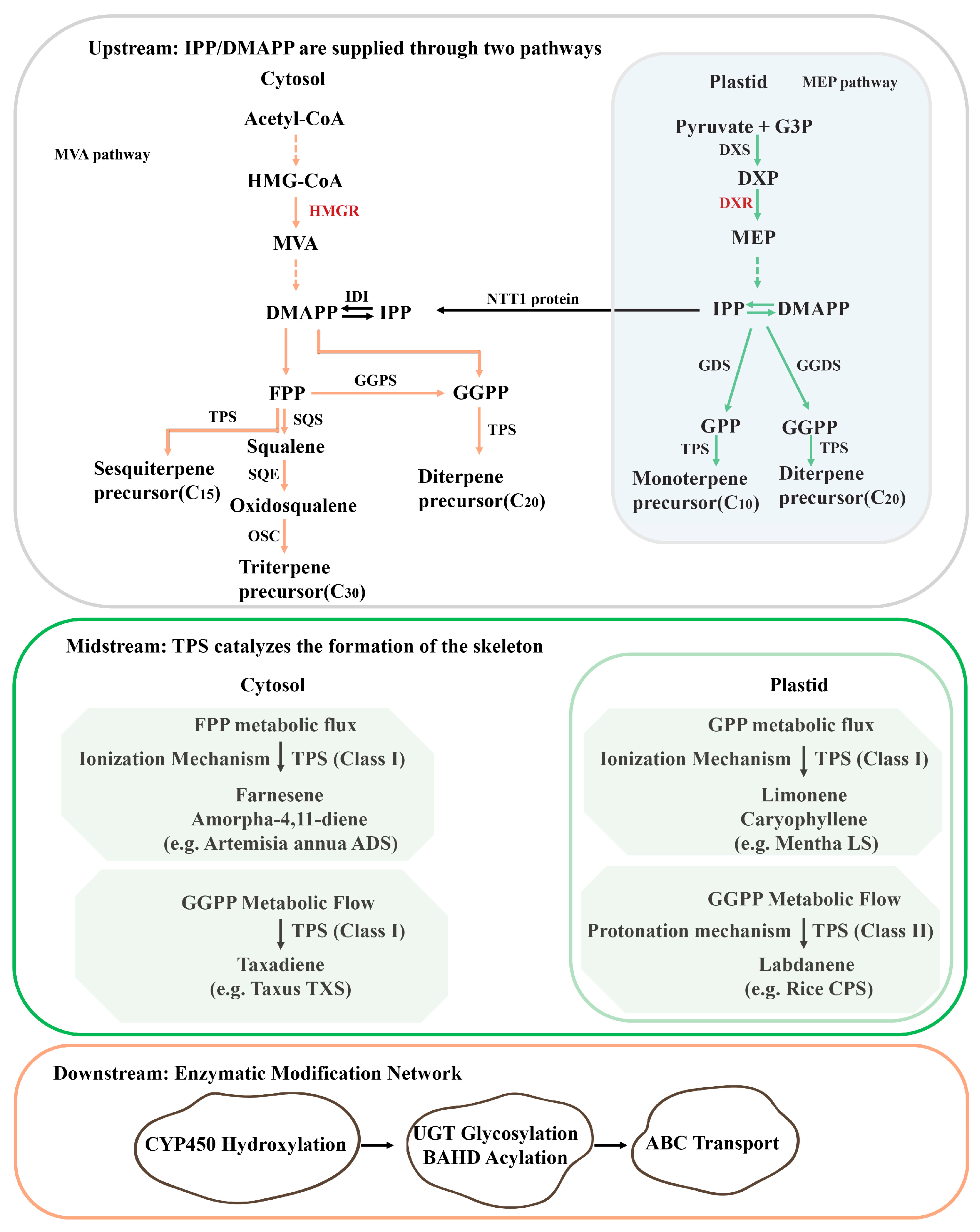 Cimb 47 00723 g001 Cimb 47 00723 g001