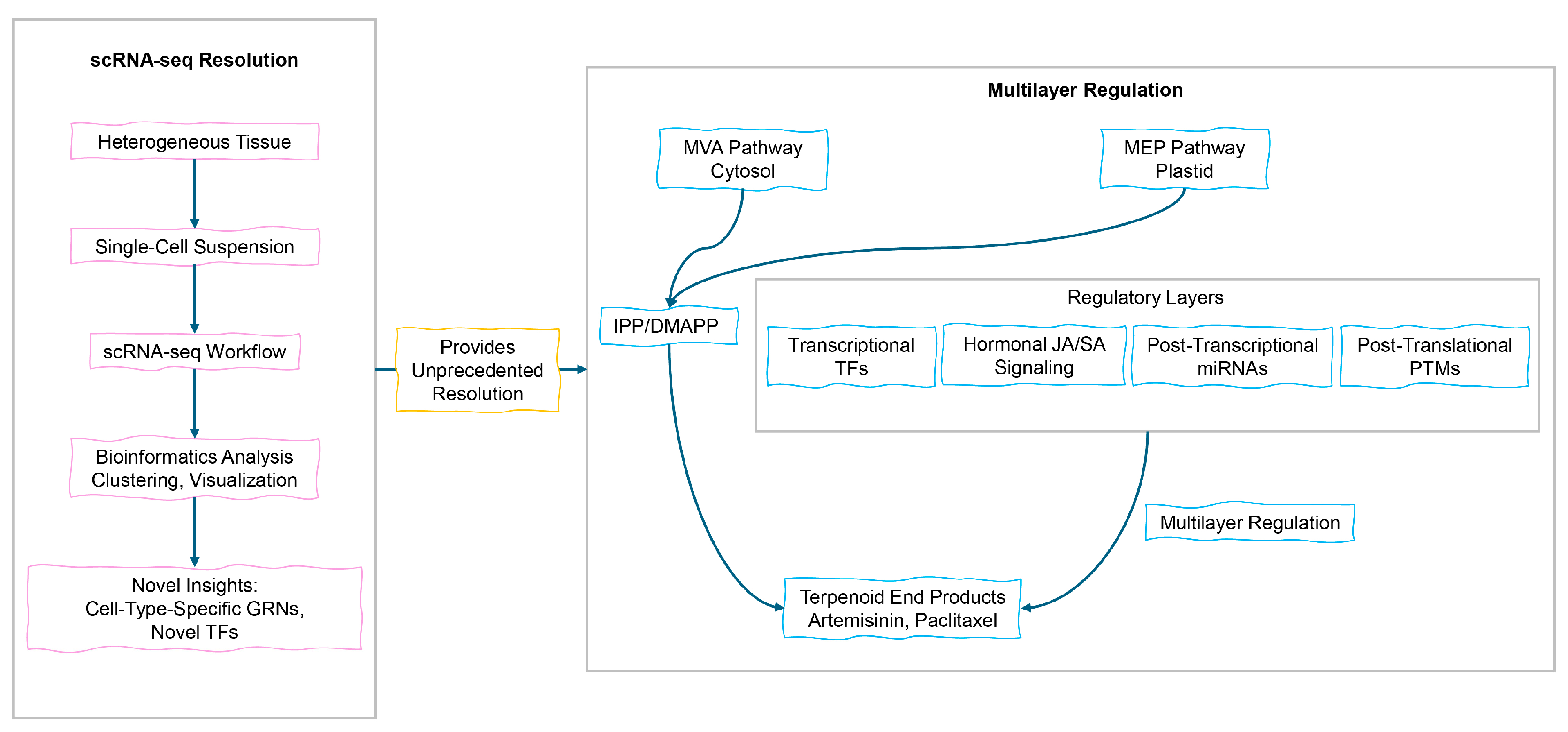 Cimb 47 00723 g002 Cimb 47 00723 g002