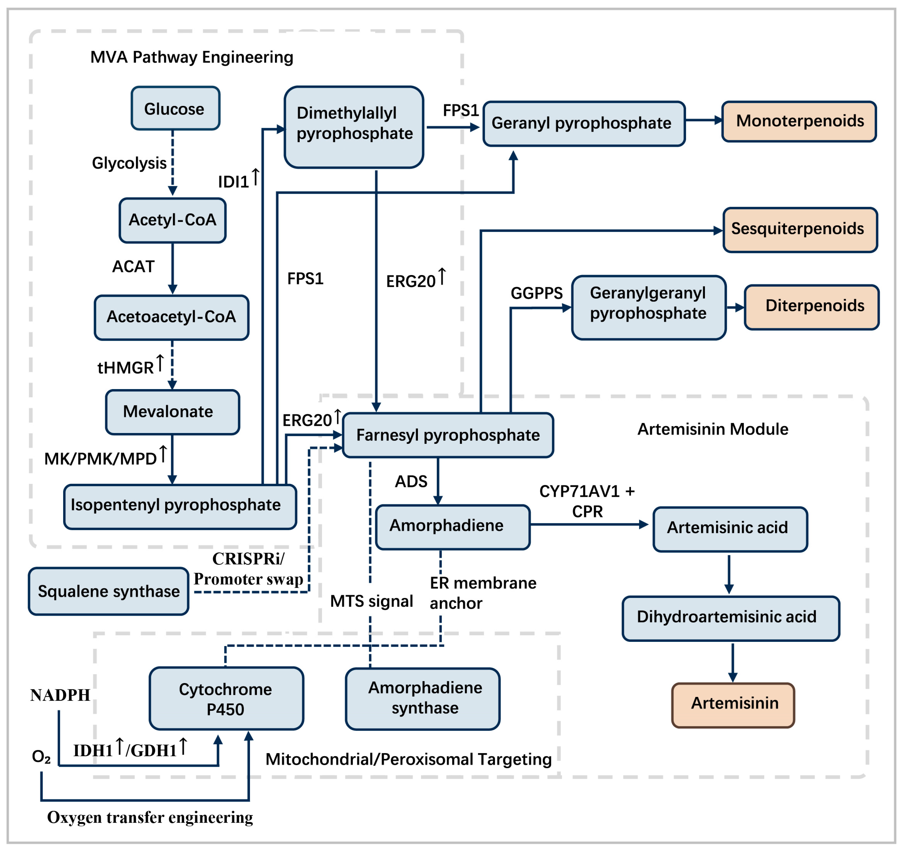 Cimb 47 00723 g003 Cimb 47 00723 g003