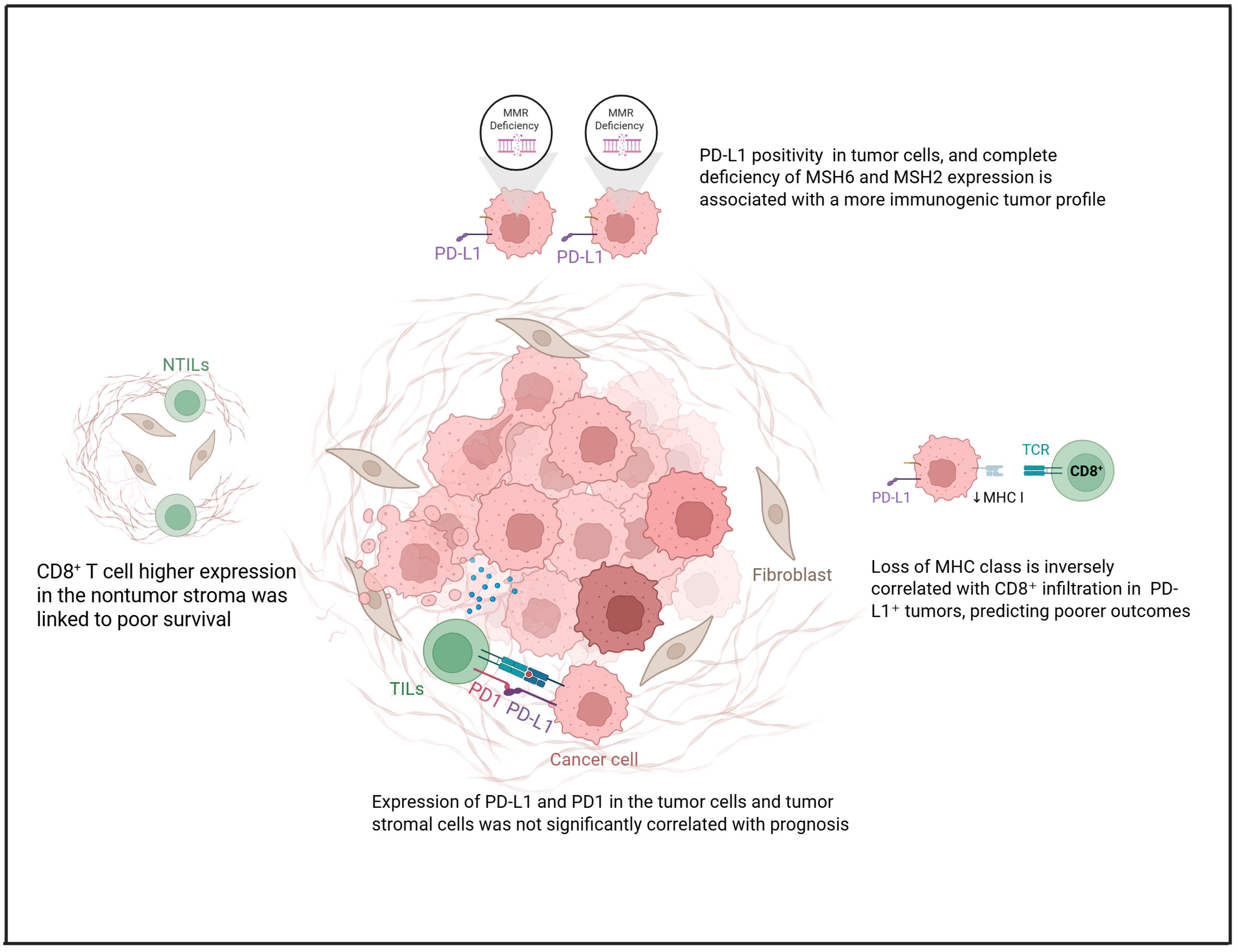 Cimb 47 00726 g001 Cimb 47 00726 g001