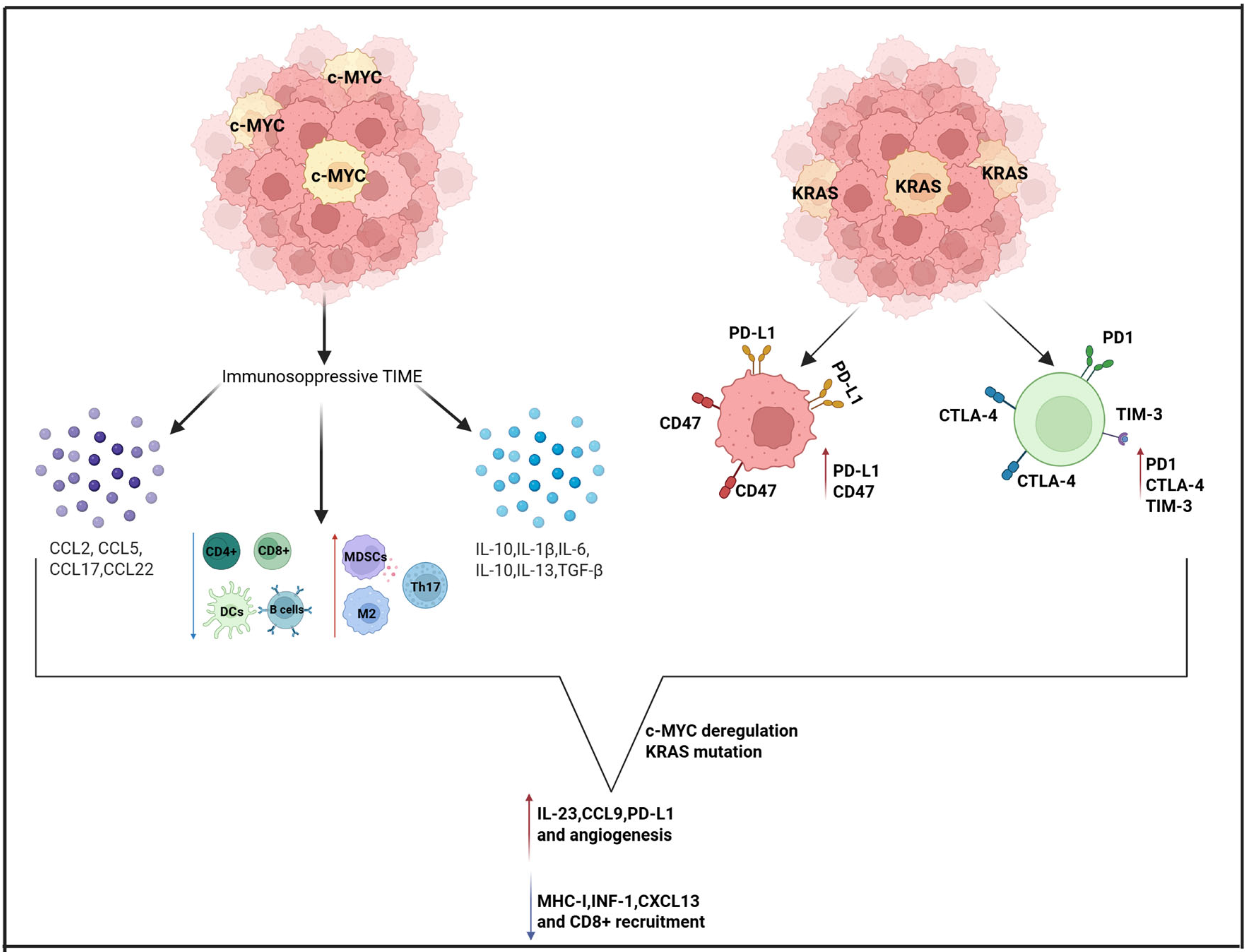 Cimb 47 00726 g002 Cimb 47 00726 g002