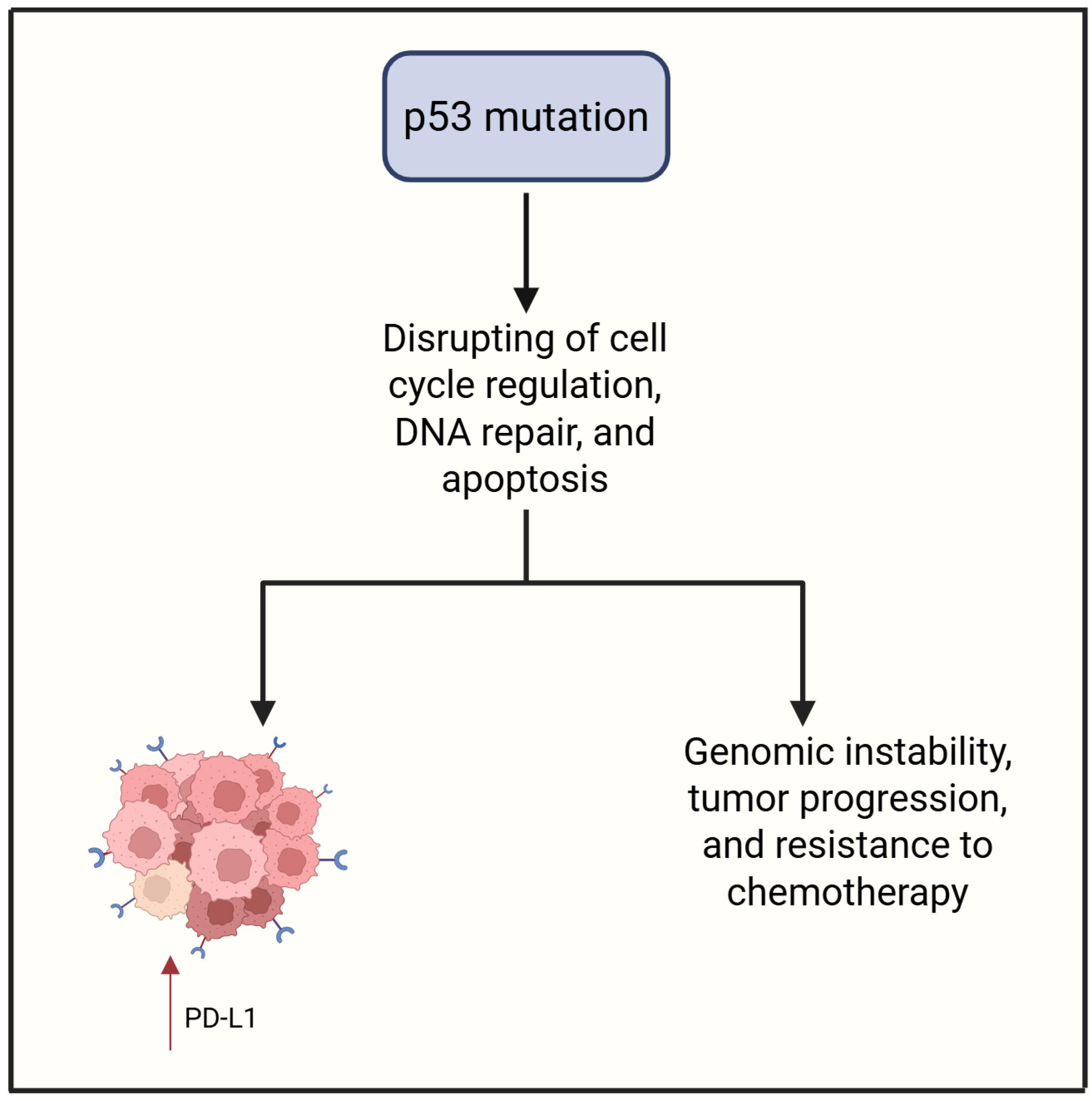 Cimb 47 00726 g004 Cimb 47 00726 g004