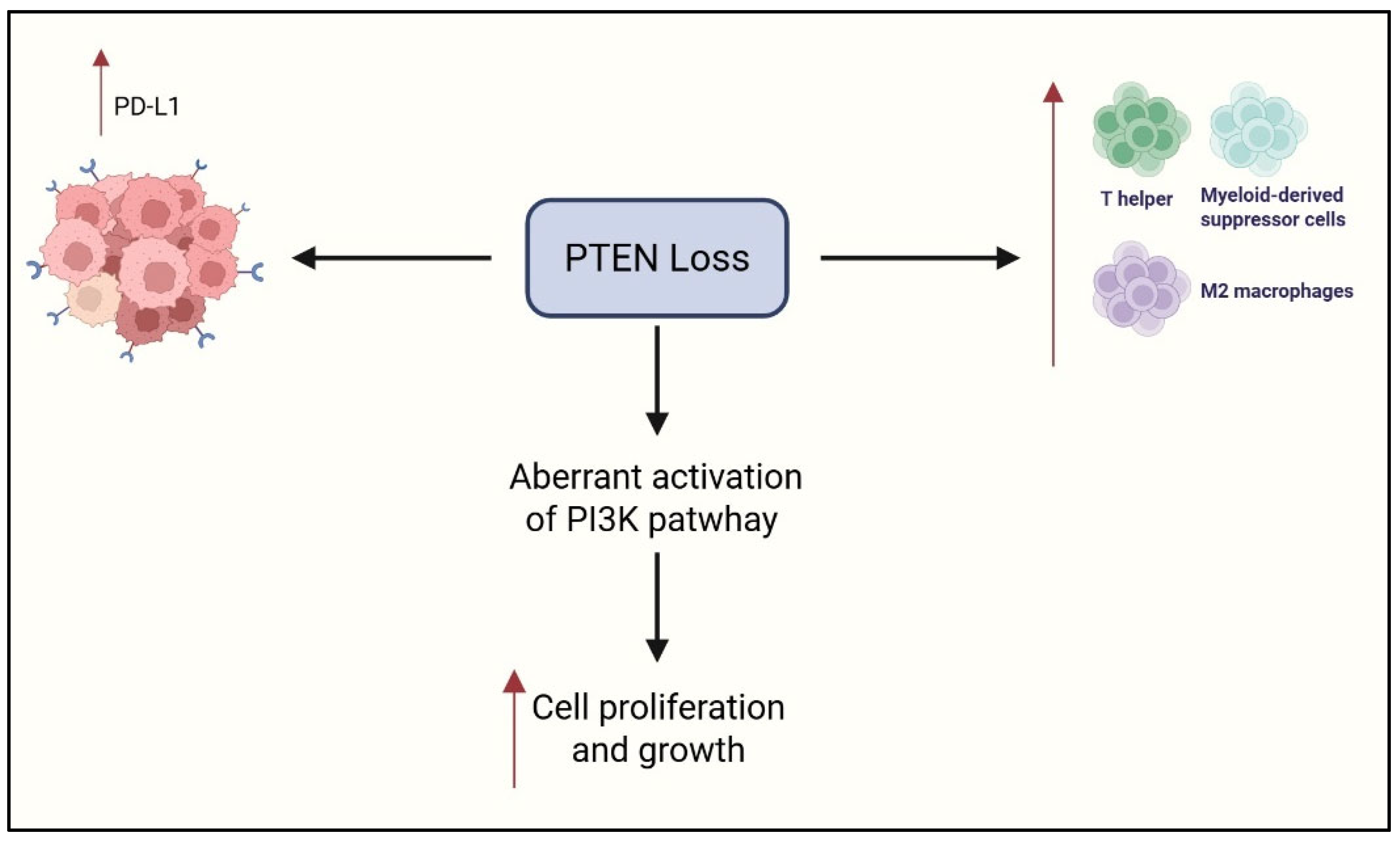 Cimb 47 00726 g005 Cimb 47 00726 g005
