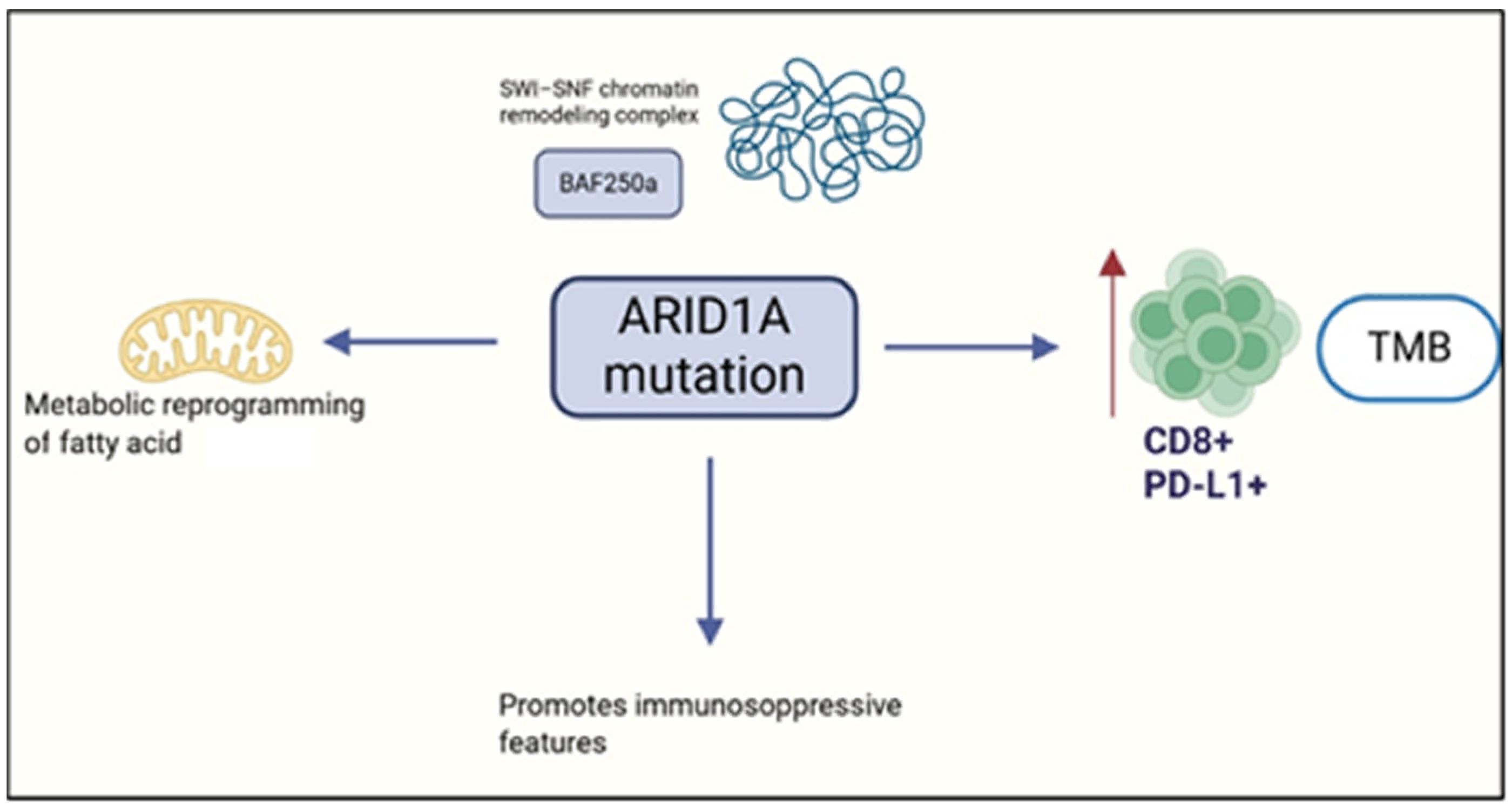 Cimb 47 00726 g006 Cimb 47 00726 g006