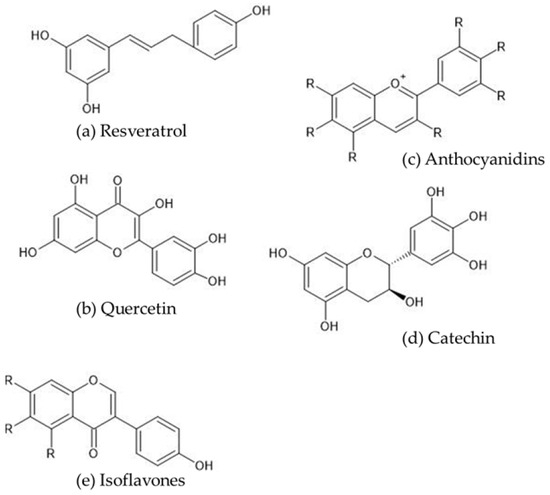 感情ディスコード Misfolded protein oligomers: mechanisms of formation