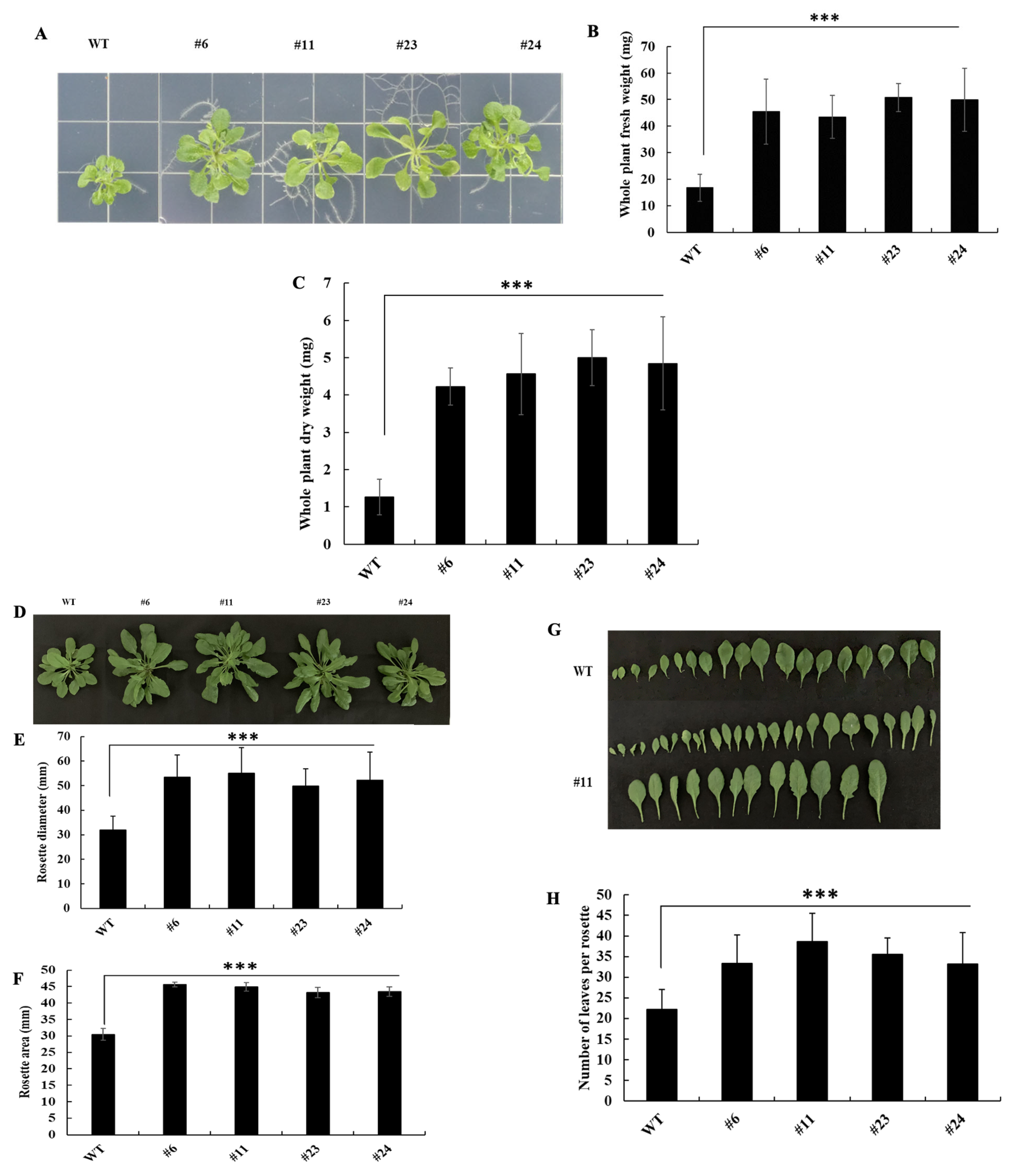 Cimb 47 00736 g001 Cimb 47 00736 g001