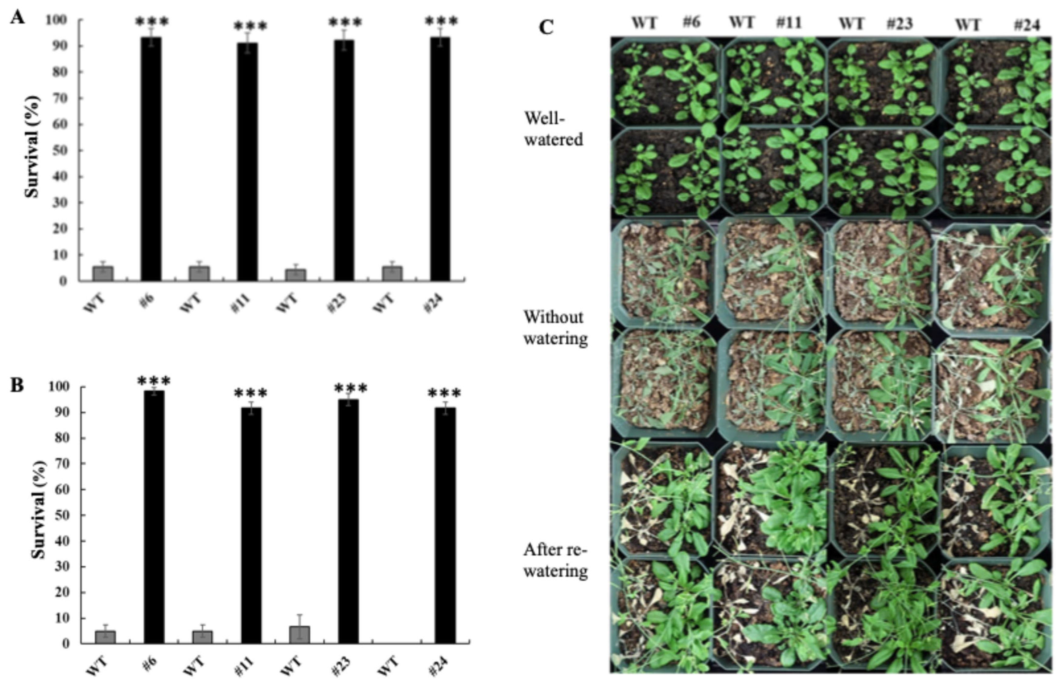 Cimb 47 00736 g002 Cimb 47 00736 g002