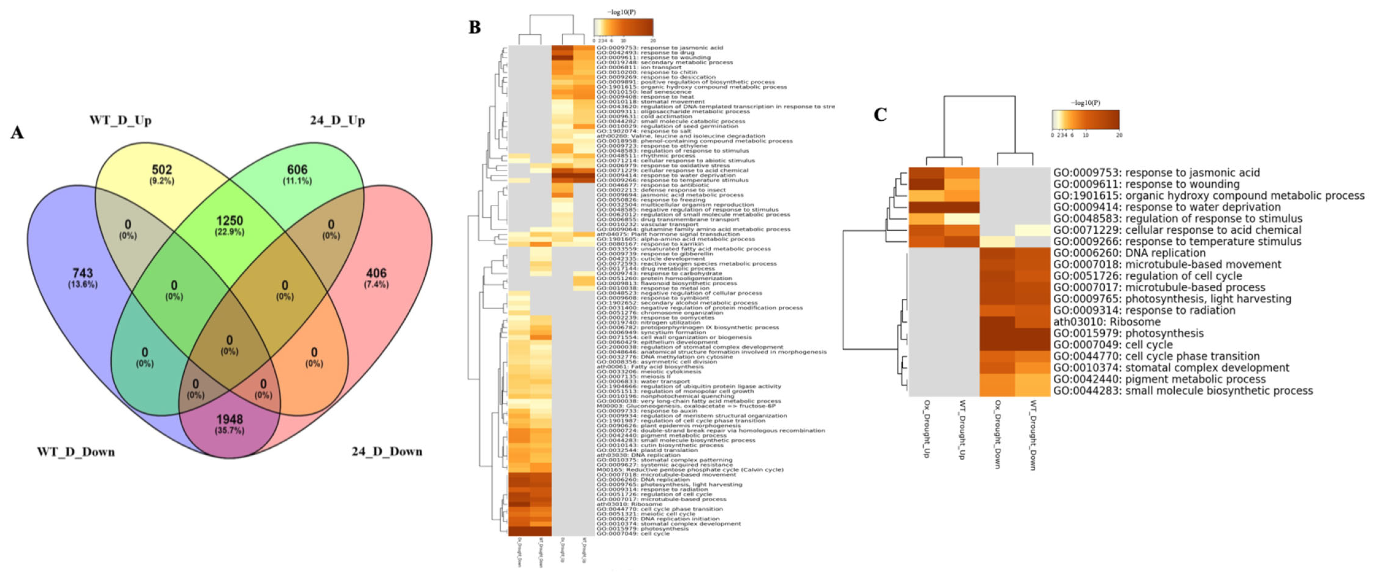 Cimb 47 00736 g007 Cimb 47 00736 g007
