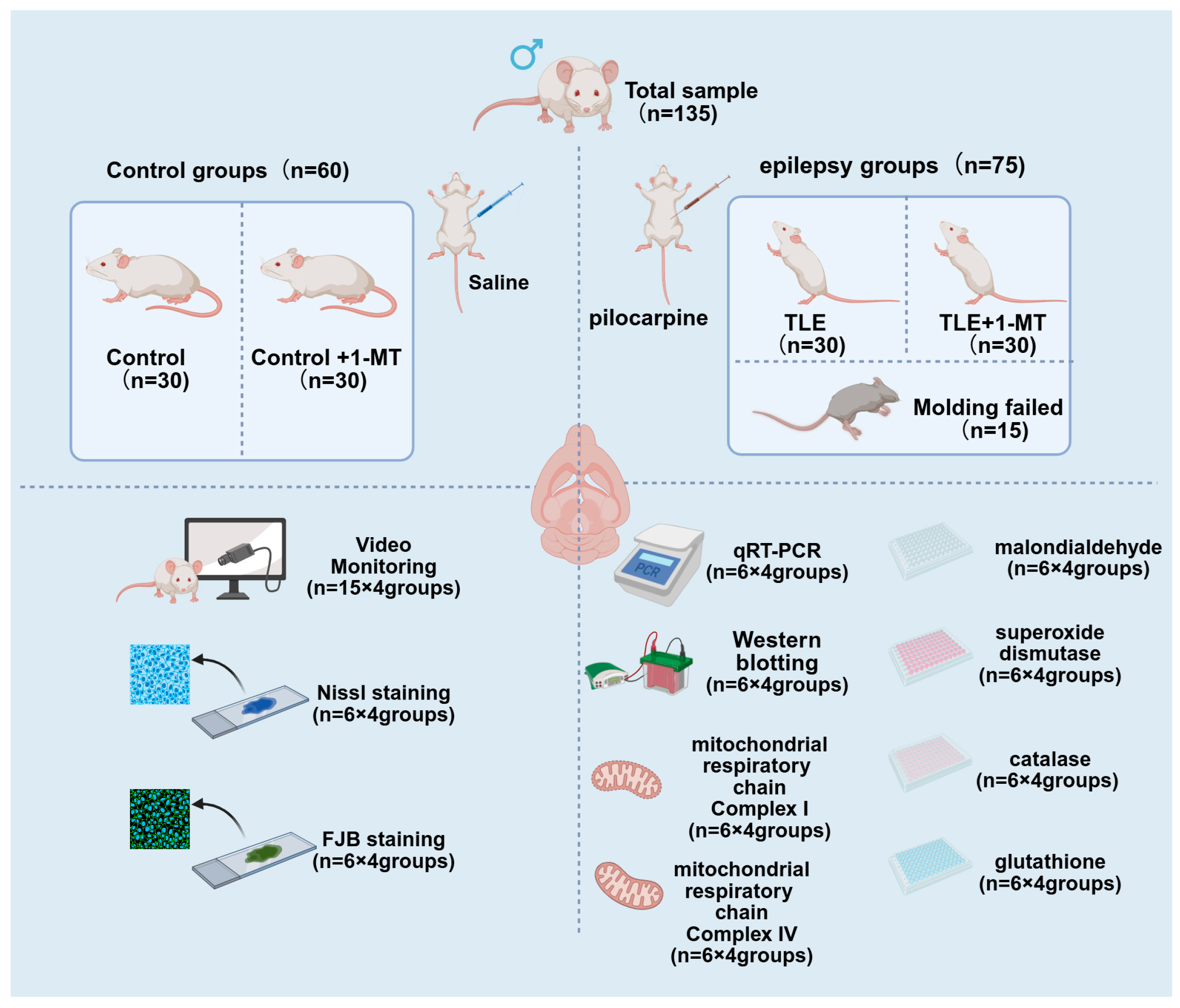 Cimb 47 00764 g001 Cimb 47 00764 g001