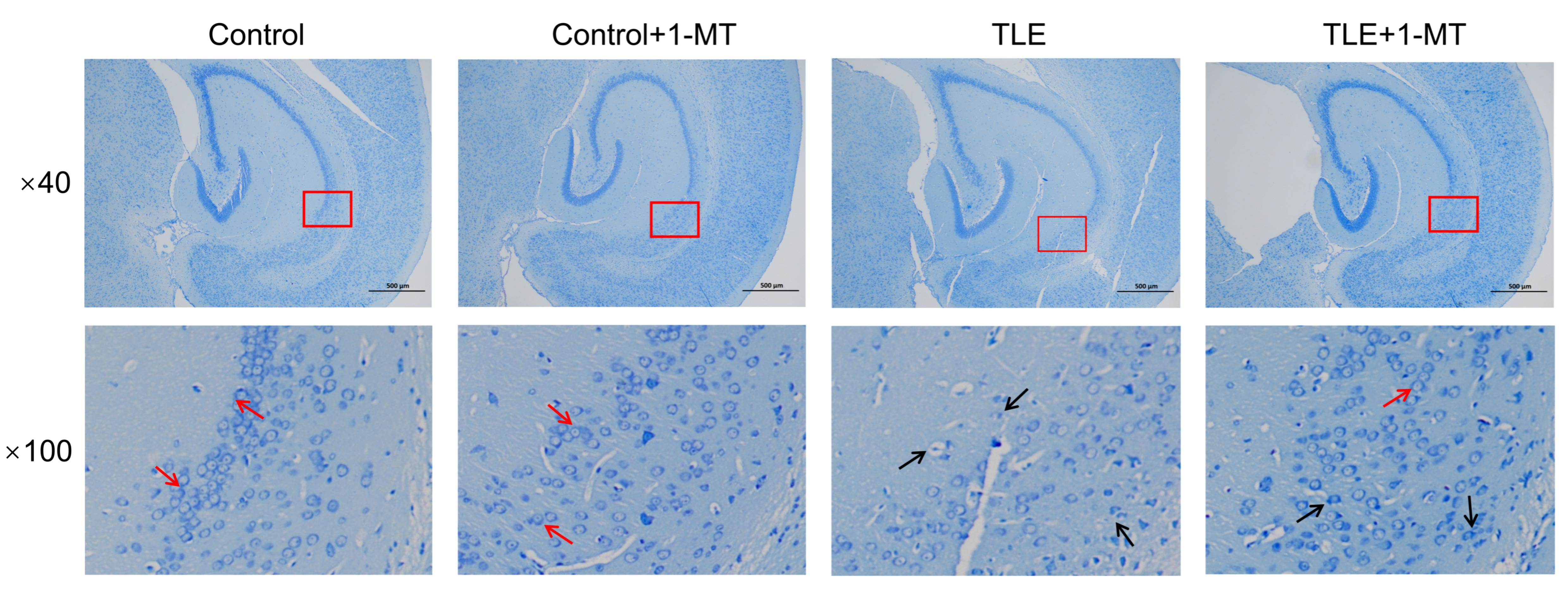 Cimb 47 00764 g002 Cimb 47 00764 g002