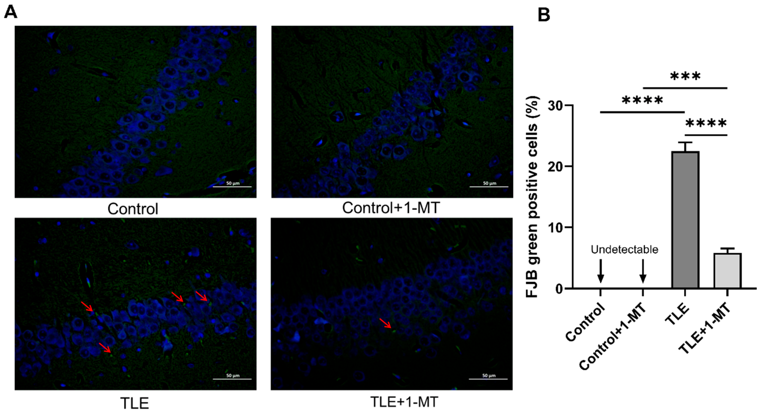 Cimb 47 00764 g003 Cimb 47 00764 g003