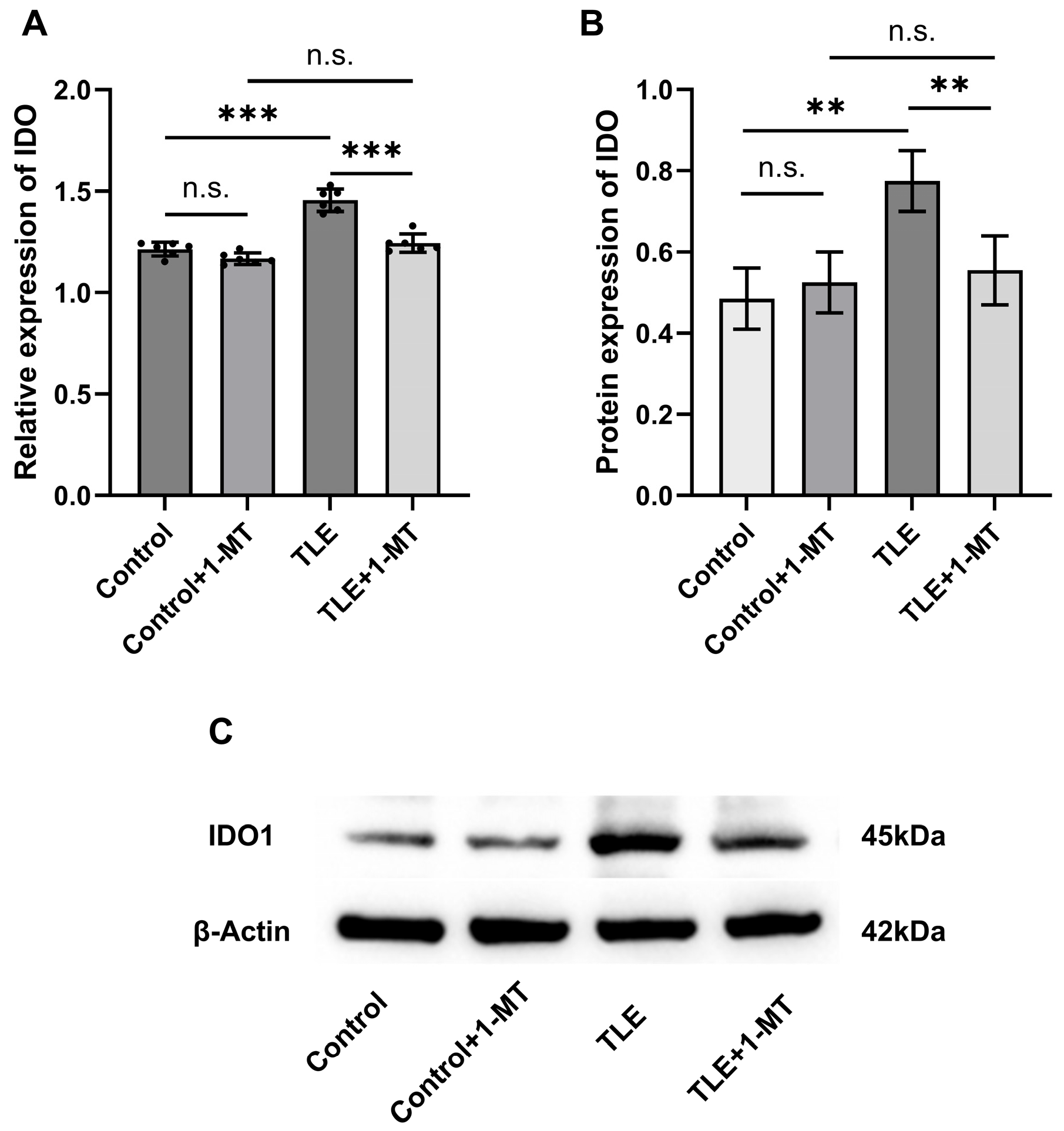 Cimb 47 00764 g004 Cimb 47 00764 g004