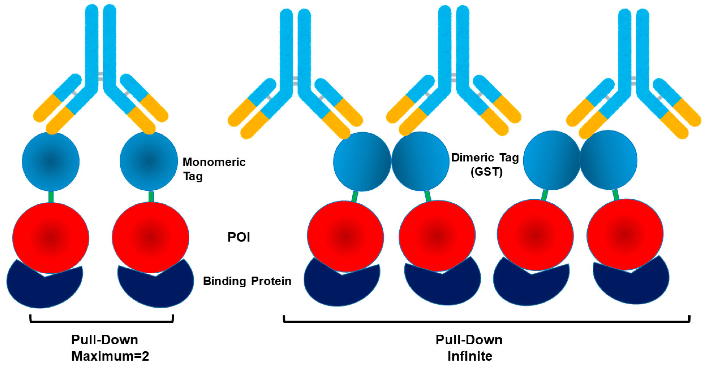 Cimb 47 00768 g002 Cimb 47 00768 g002