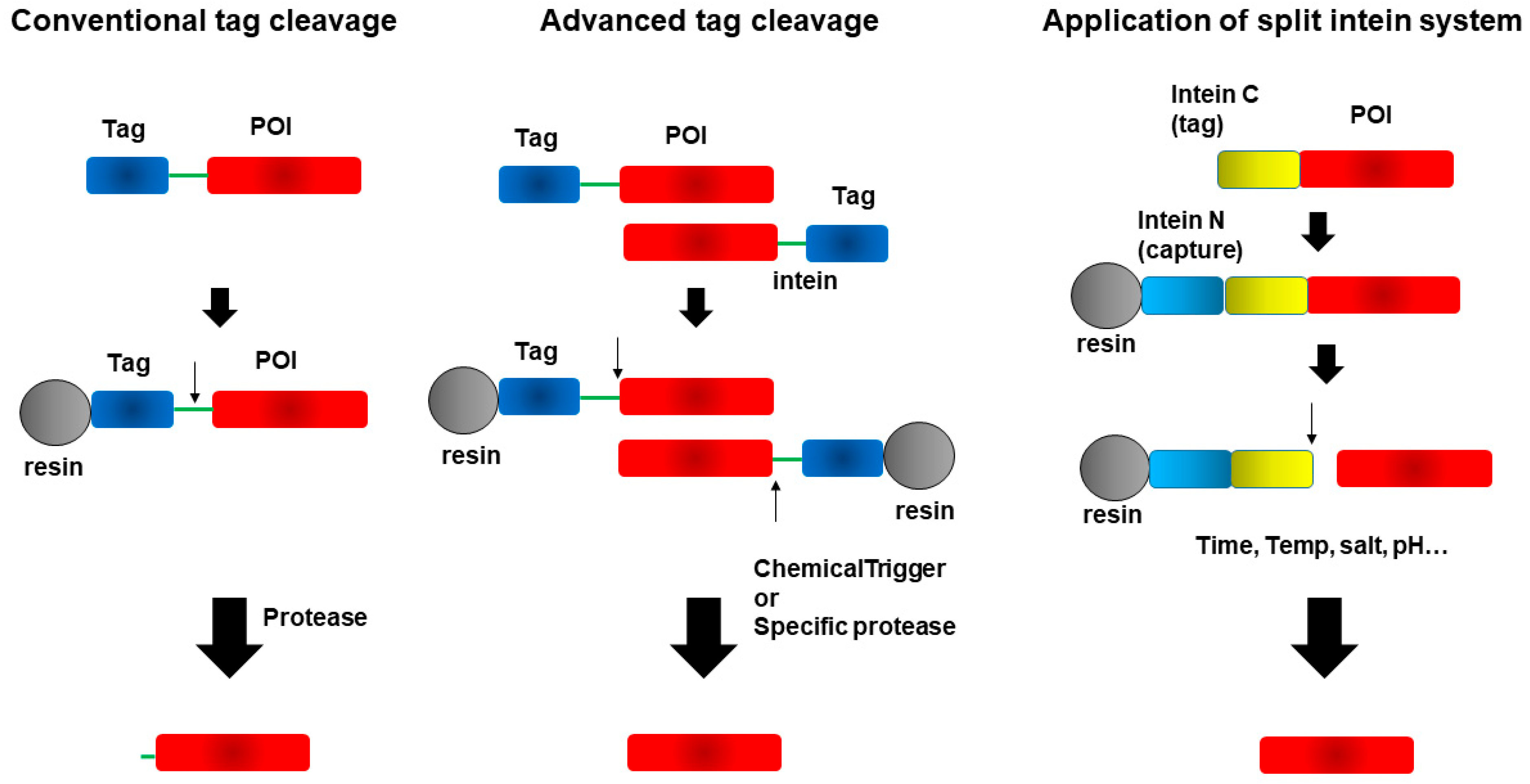 Cimb 47 00768 g008 Cimb 47 00768 g008