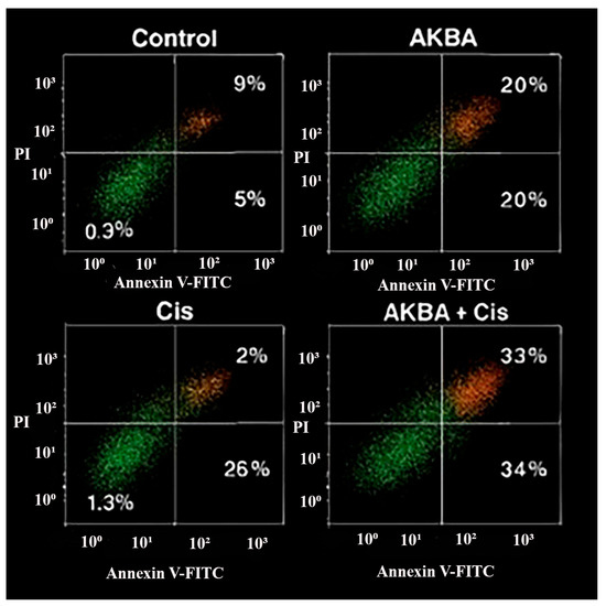 Synergistic Induction of Apoptosis by Boswellic Acid and Cisplatin in ...