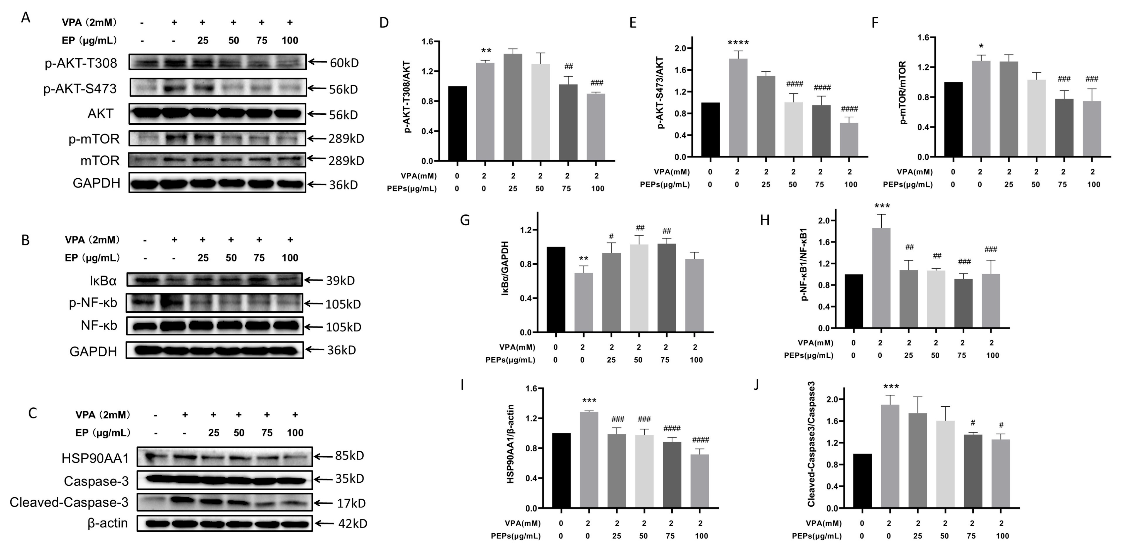 Cimb 47 00796 g009 Cimb 47 00796 g009