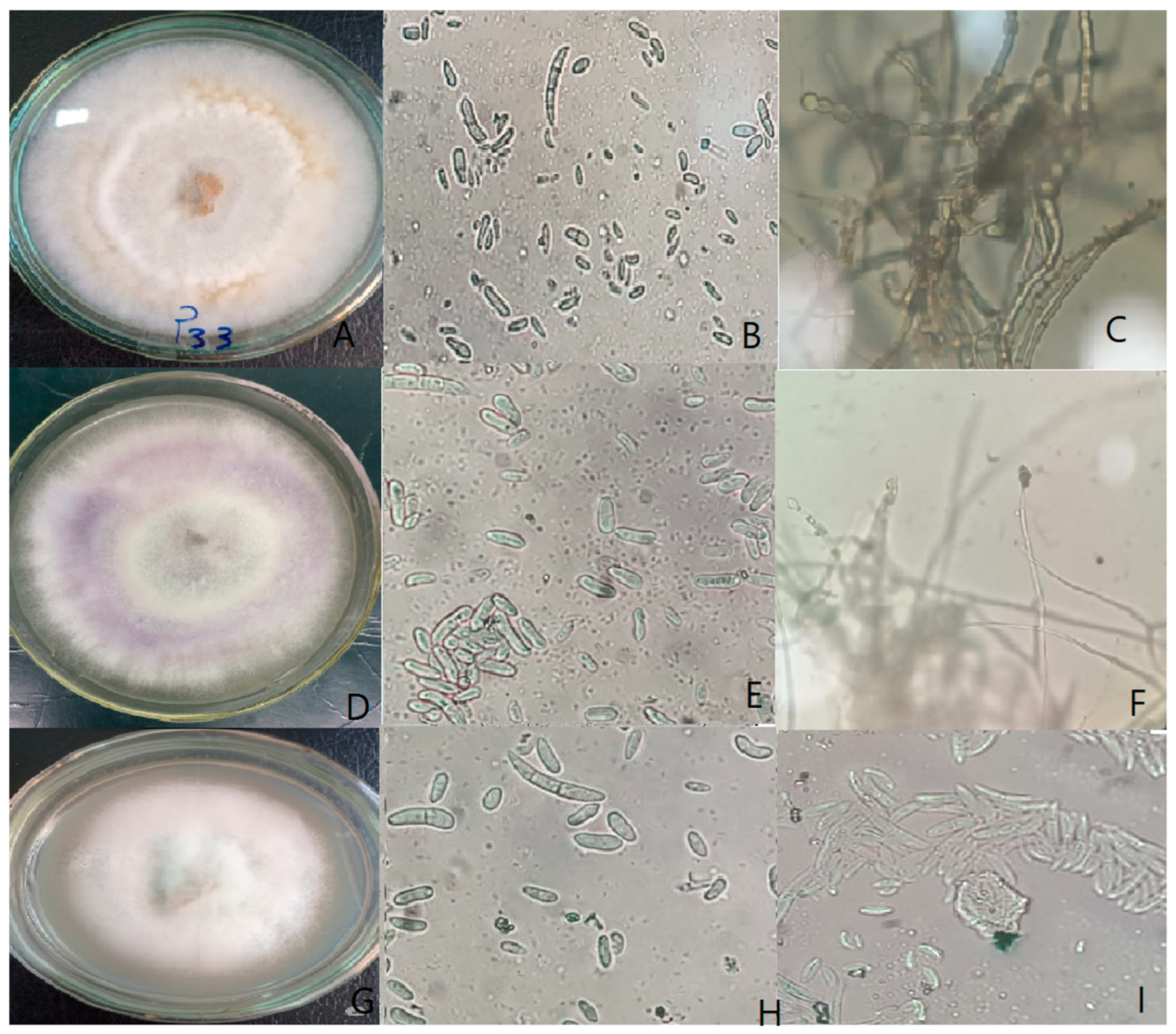 Cimb 47 00803 g001 Cimb 47 00803 g001