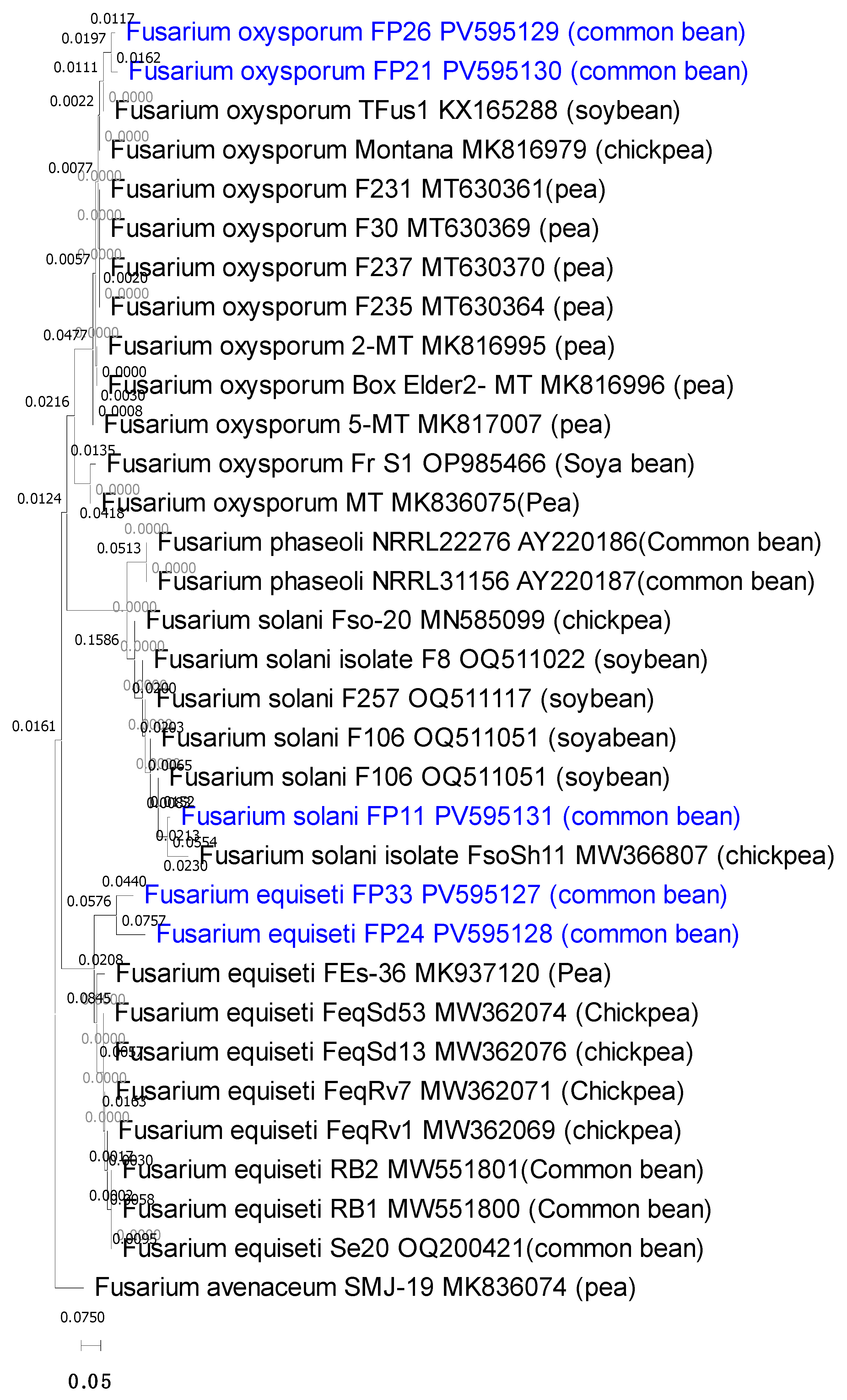 Cimb 47 00803 g004 Cimb 47 00803 g004
