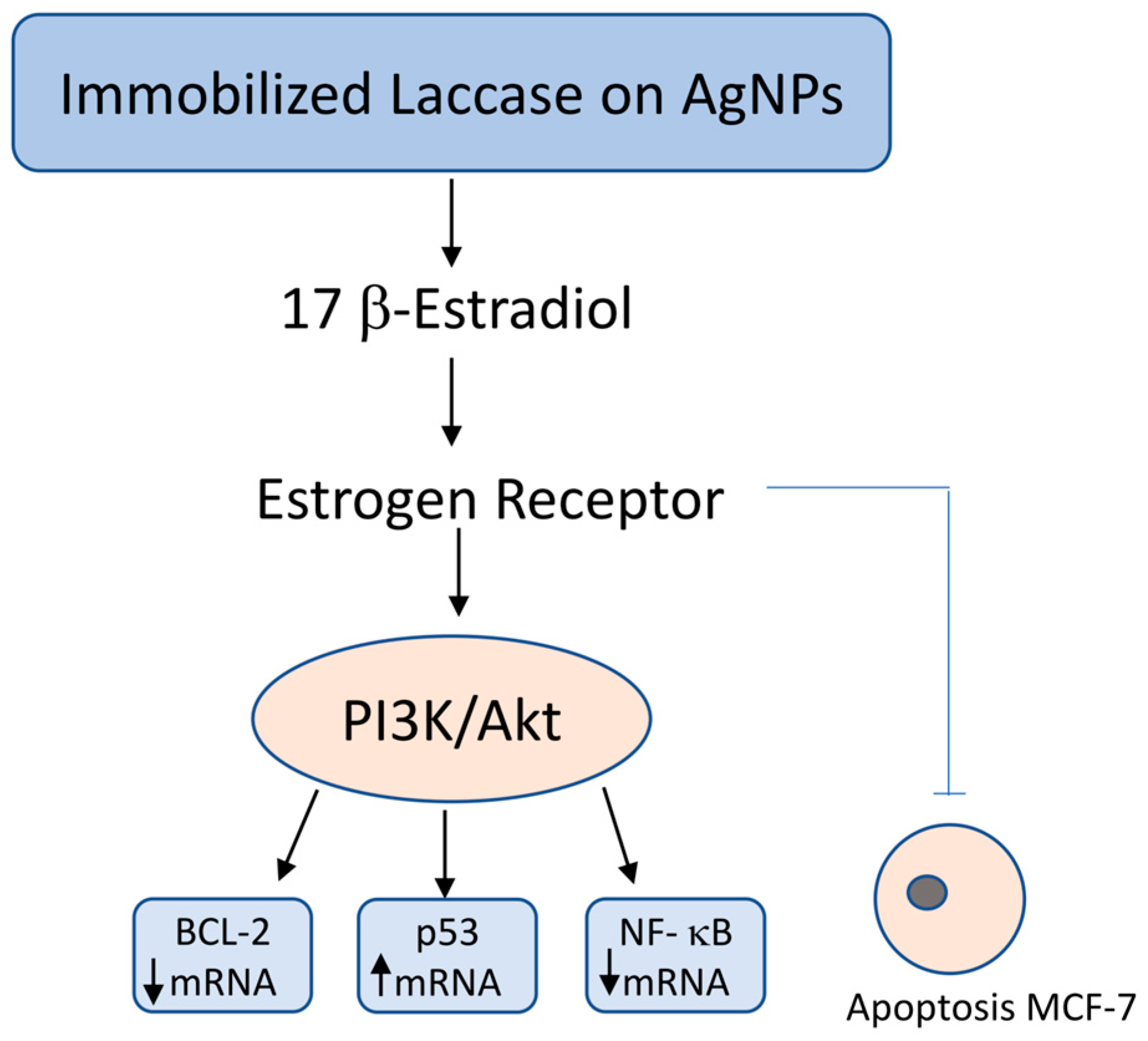 Cimb 47 00808 g002 Cimb 47 00808 g002