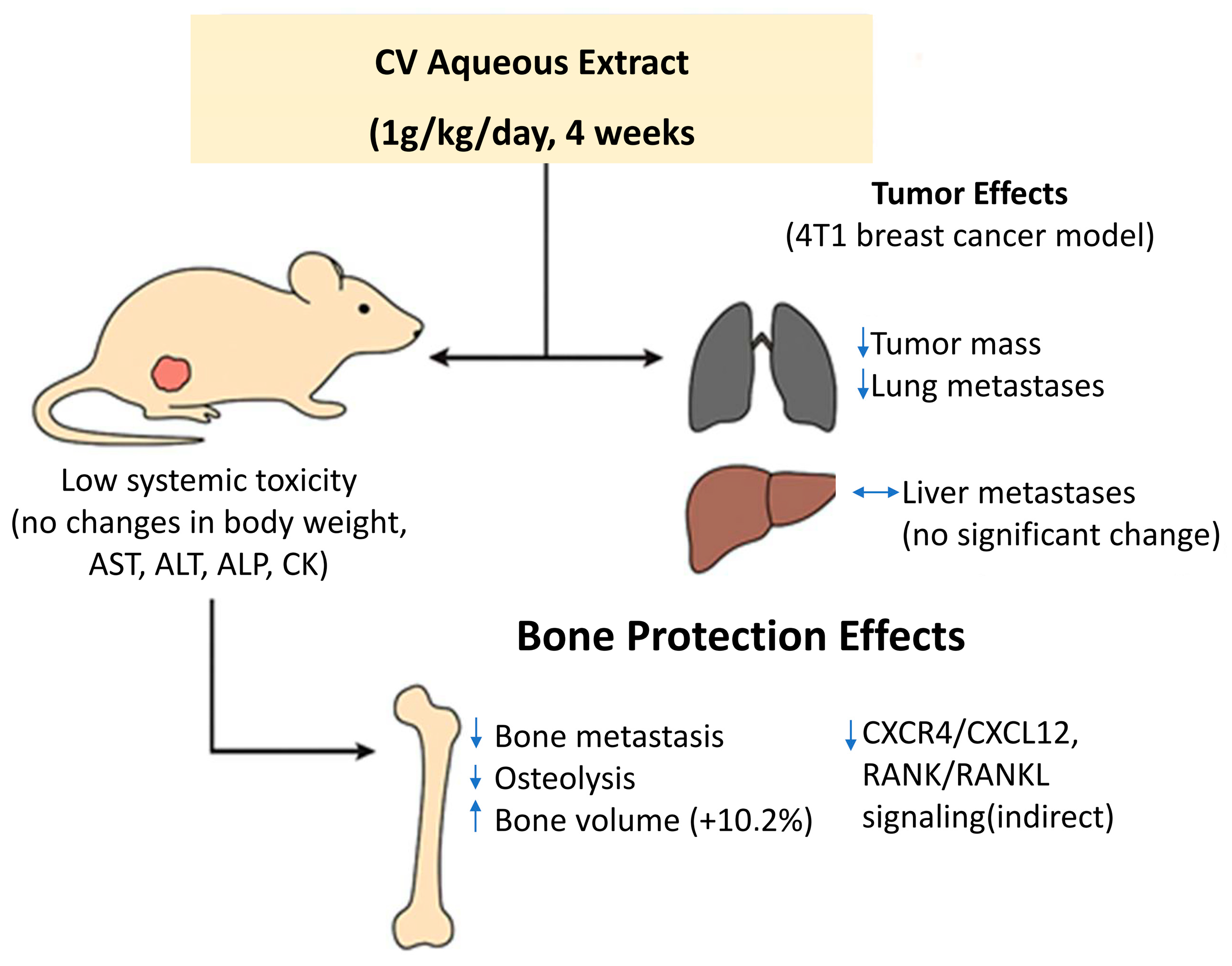 Cimb 47 00808 g005 Cimb 47 00808 g005