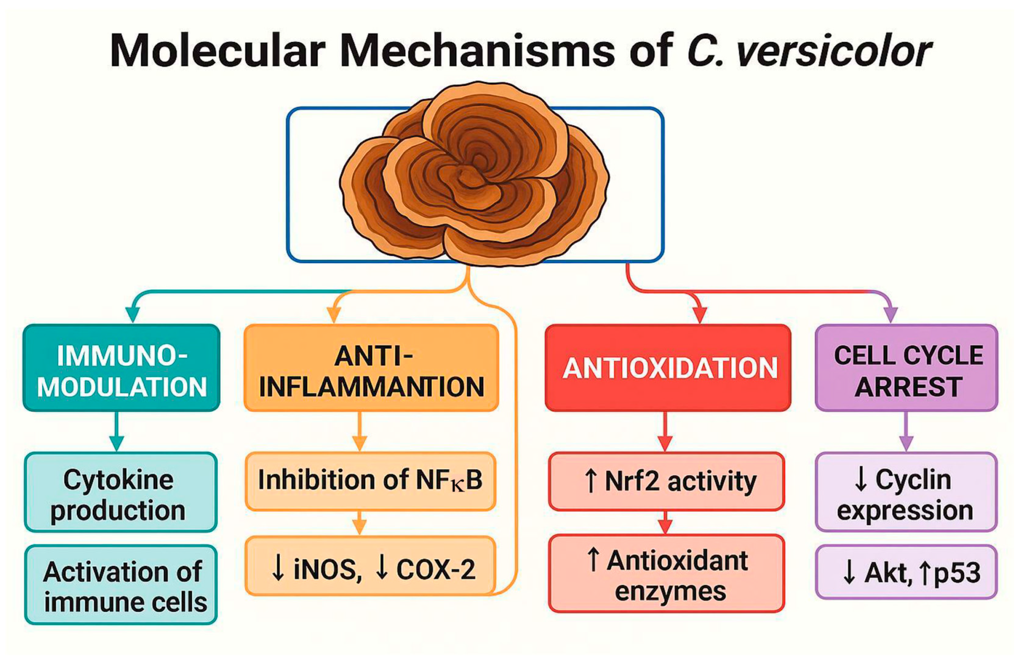 Cimb 47 00808 g007 Cimb 47 00808 g007