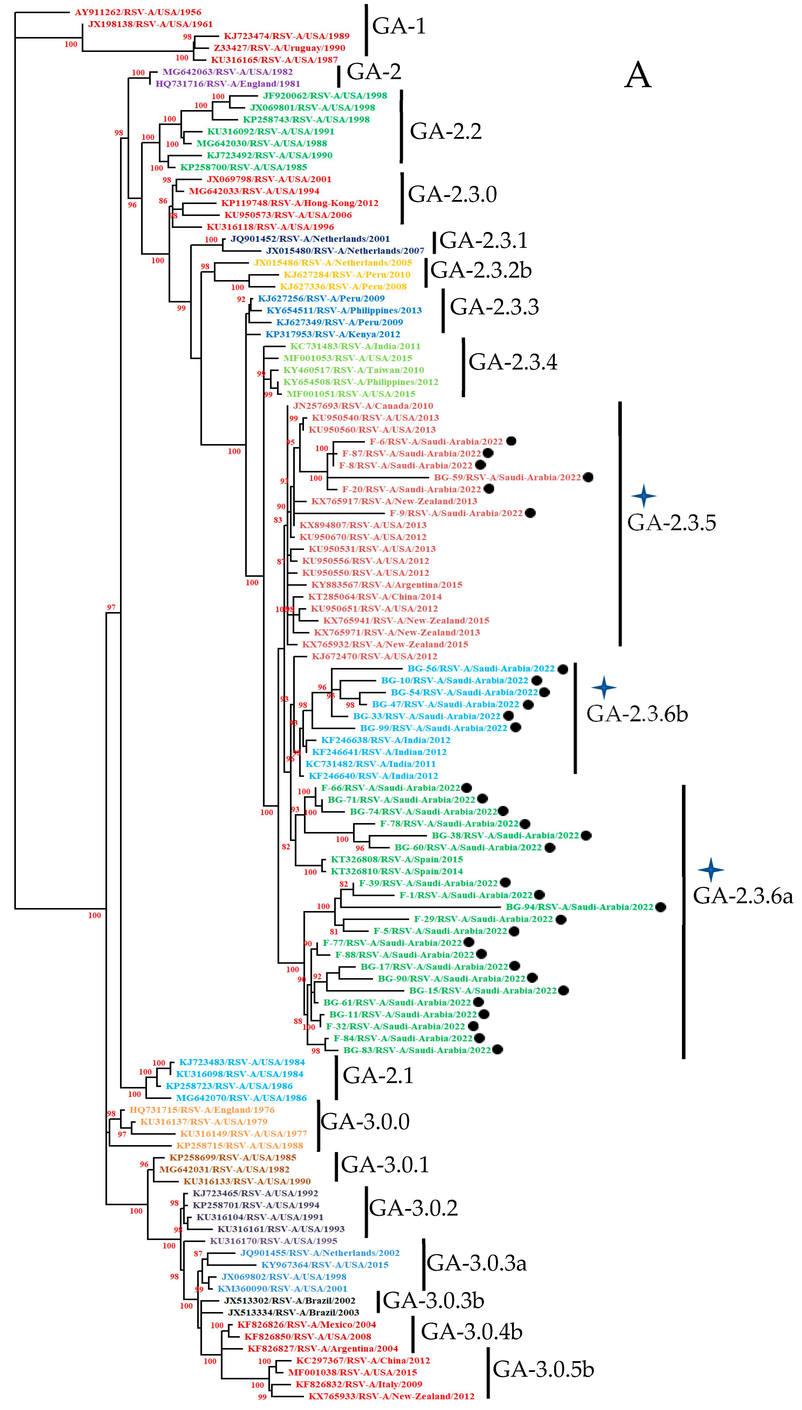 Cimb 47 00826 g001a Cimb 47 00826 g001a
