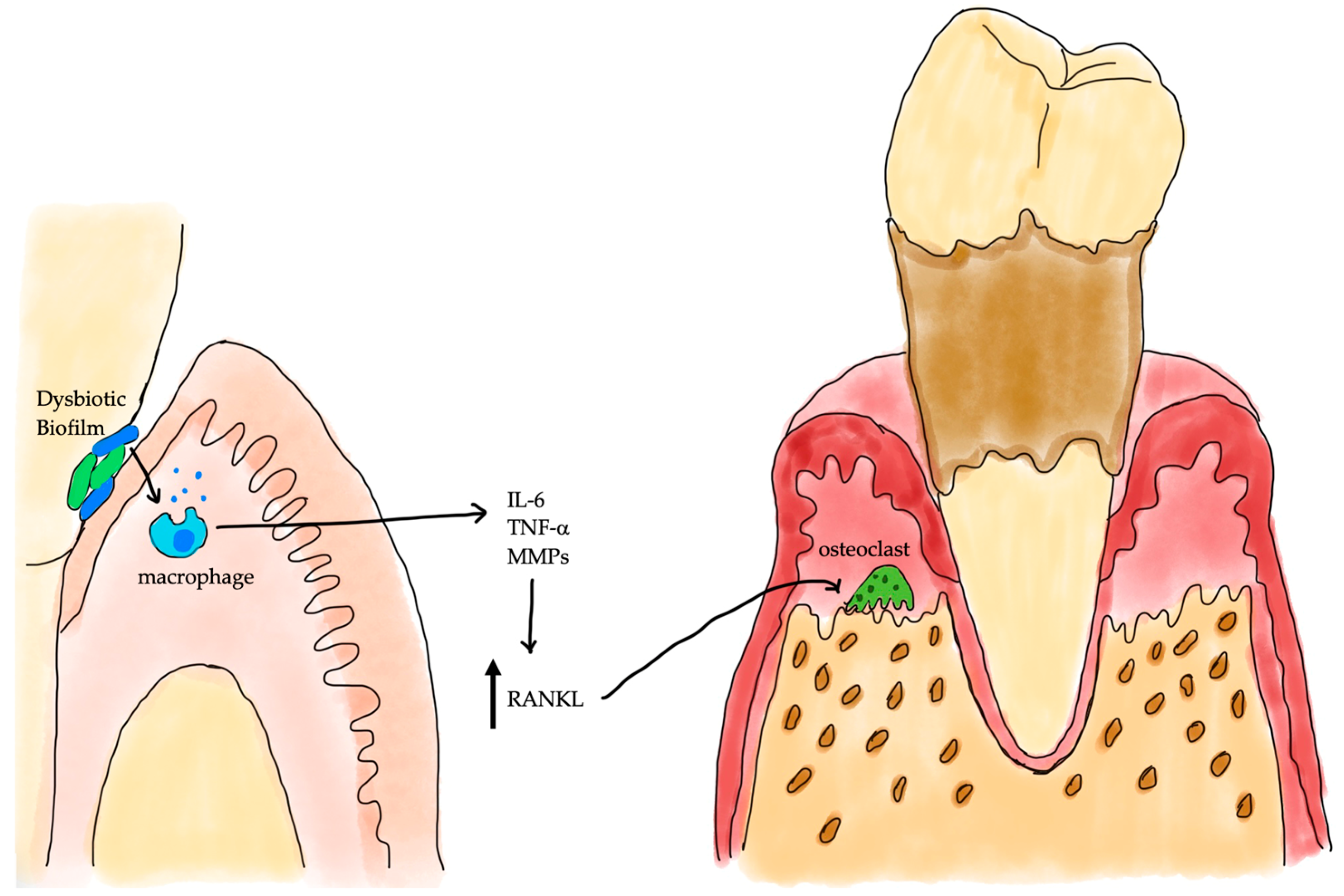 Cimb 47 00827 g001 Cimb 47 00827 g001