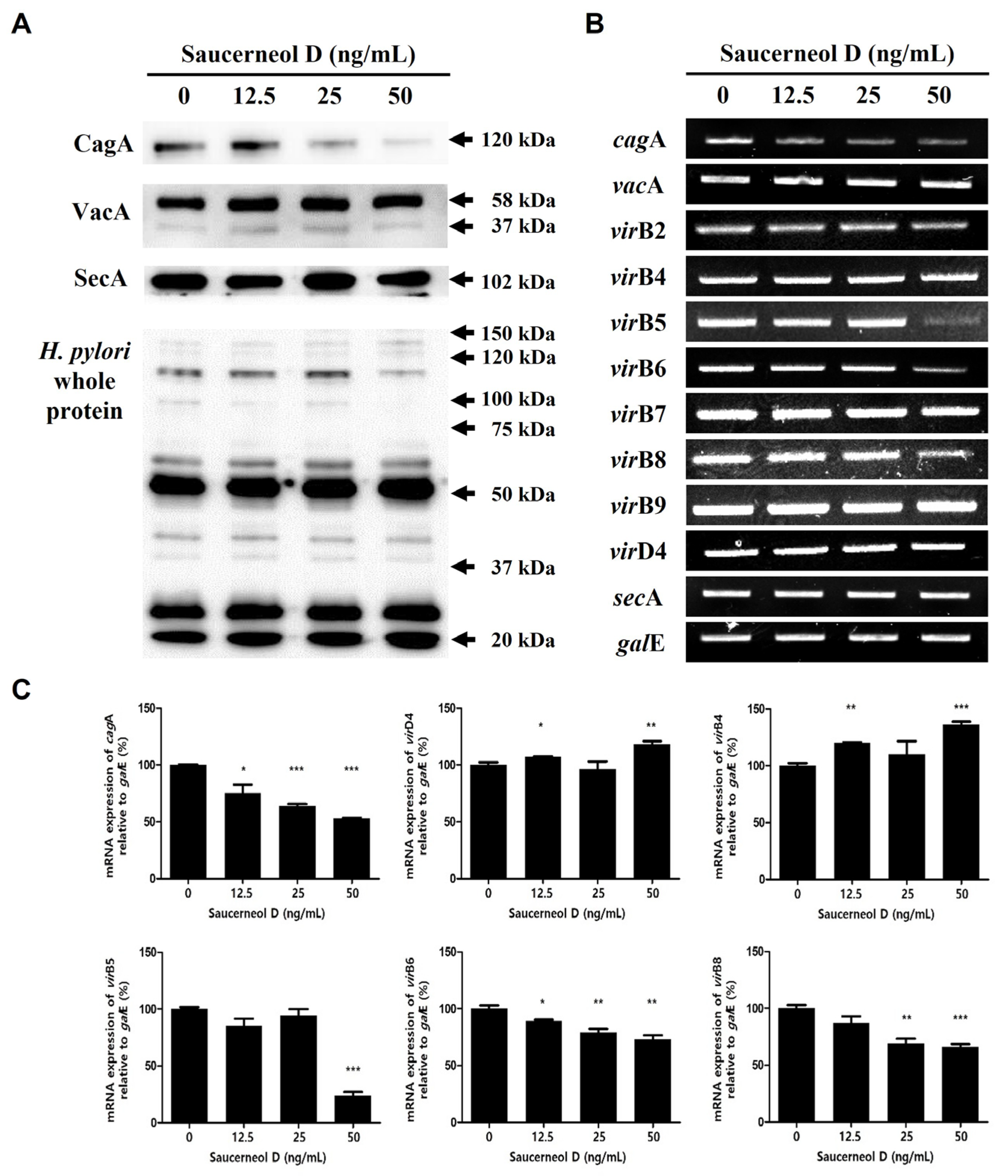 Cimb 47 00828 g004 Cimb 47 00828 g004
