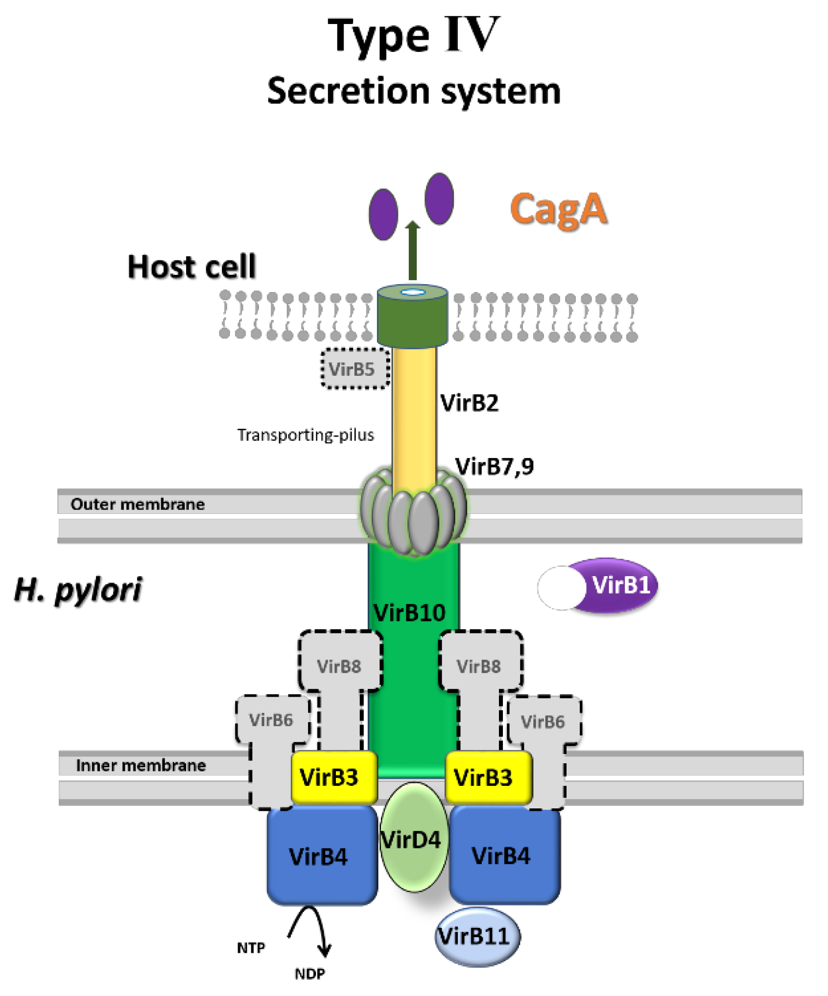 Cimb 47 00828 g008 Cimb 47 00828 g008