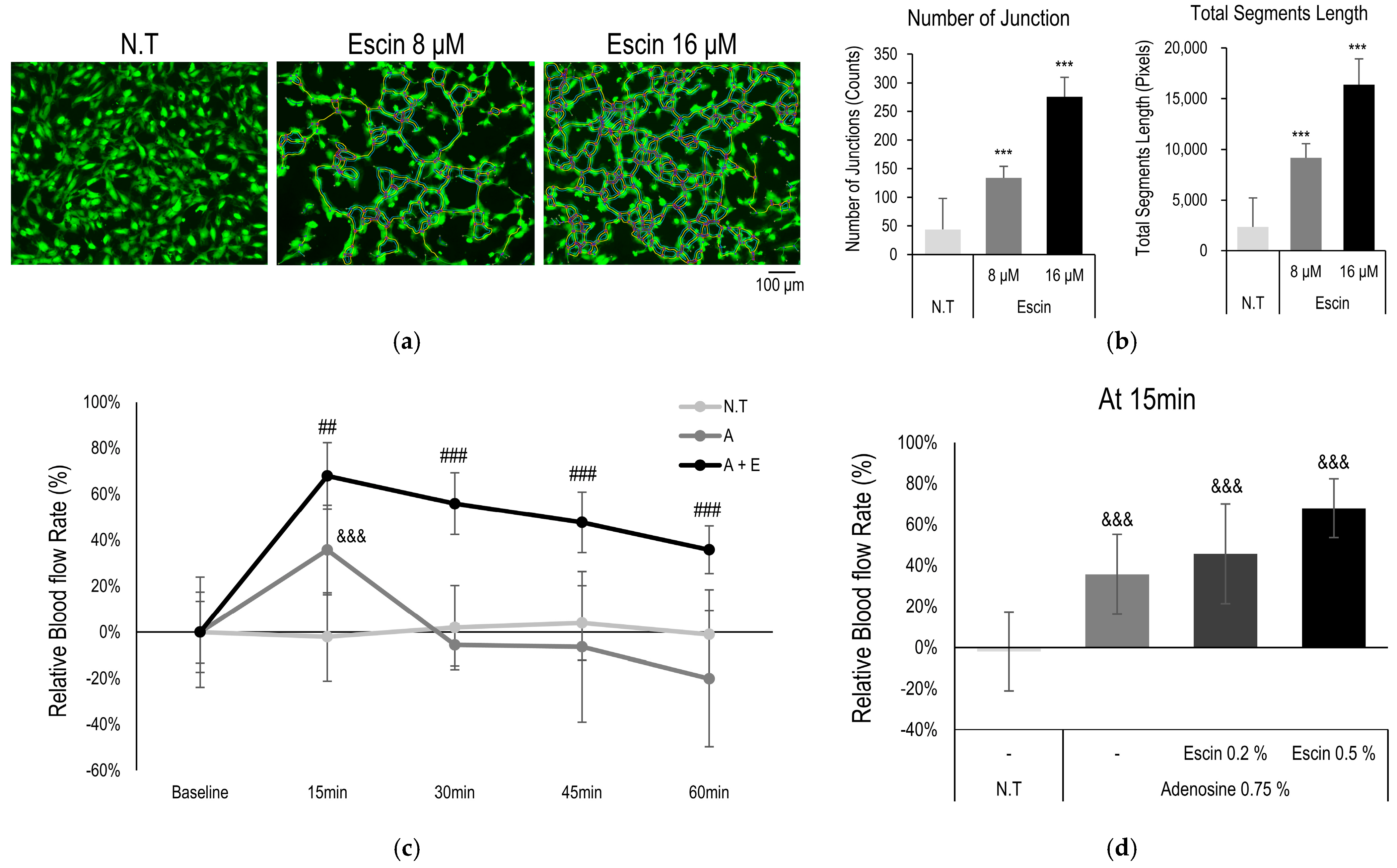 Cimb 47 00840 g005 Cimb 47 00840 g005