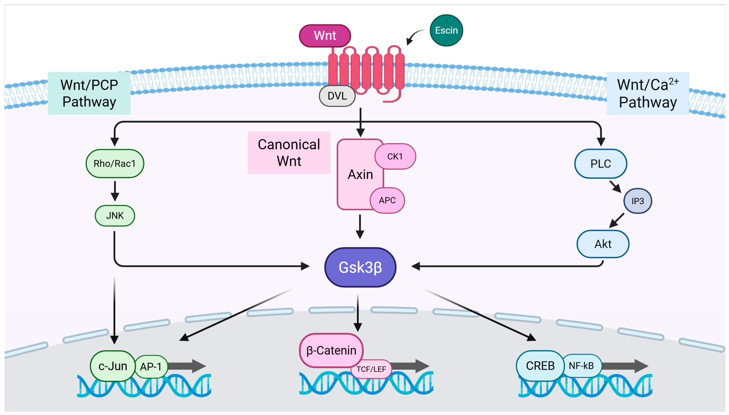 Cimb 47 00840 g006 Cimb 47 00840 g006