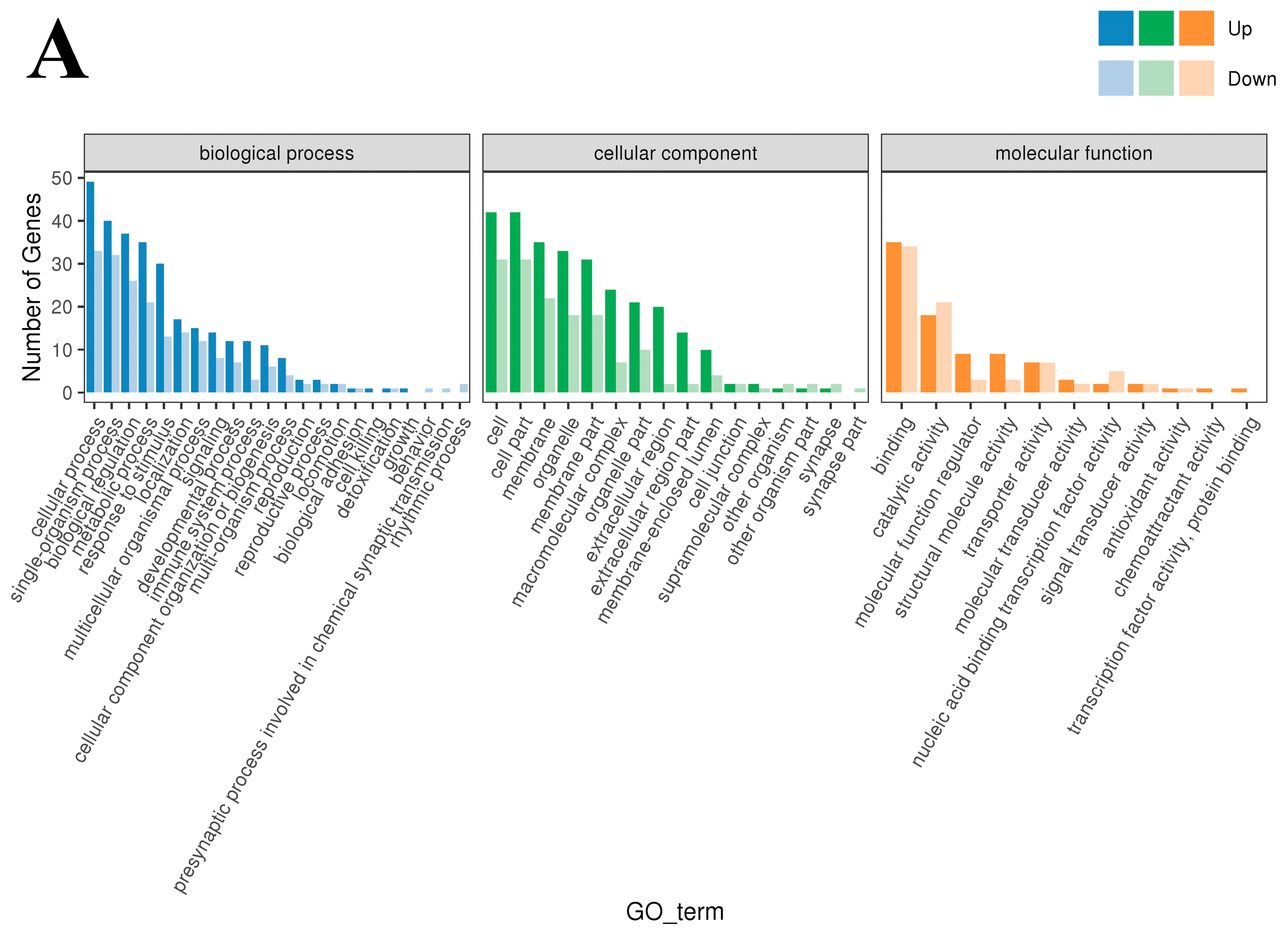 Cimb 47 00843 g003a Cimb 47 00843 g003a