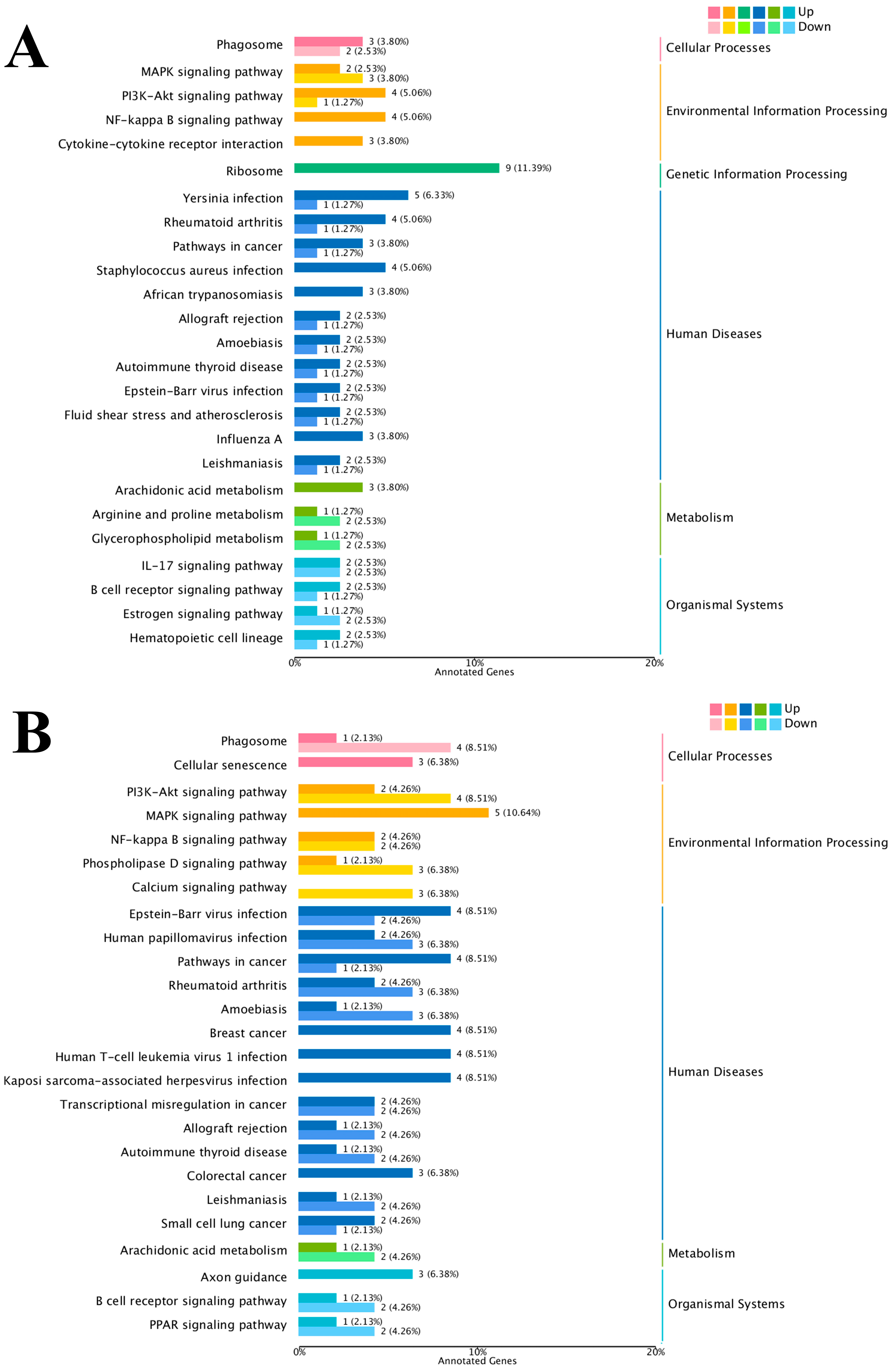 Cimb 47 00843 g004a Cimb 47 00843 g004a