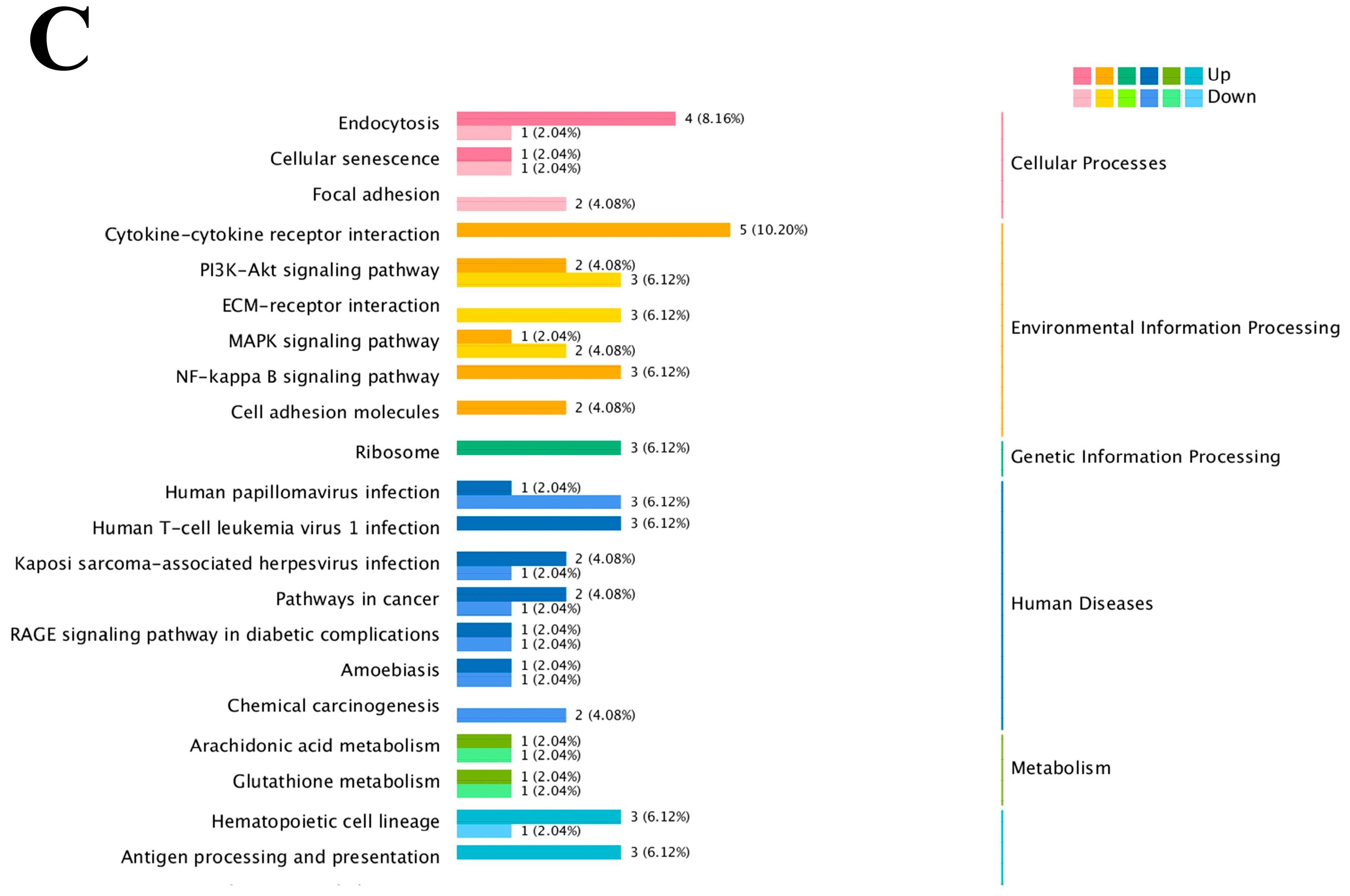 Cimb 47 00843 g004b Cimb 47 00843 g004b