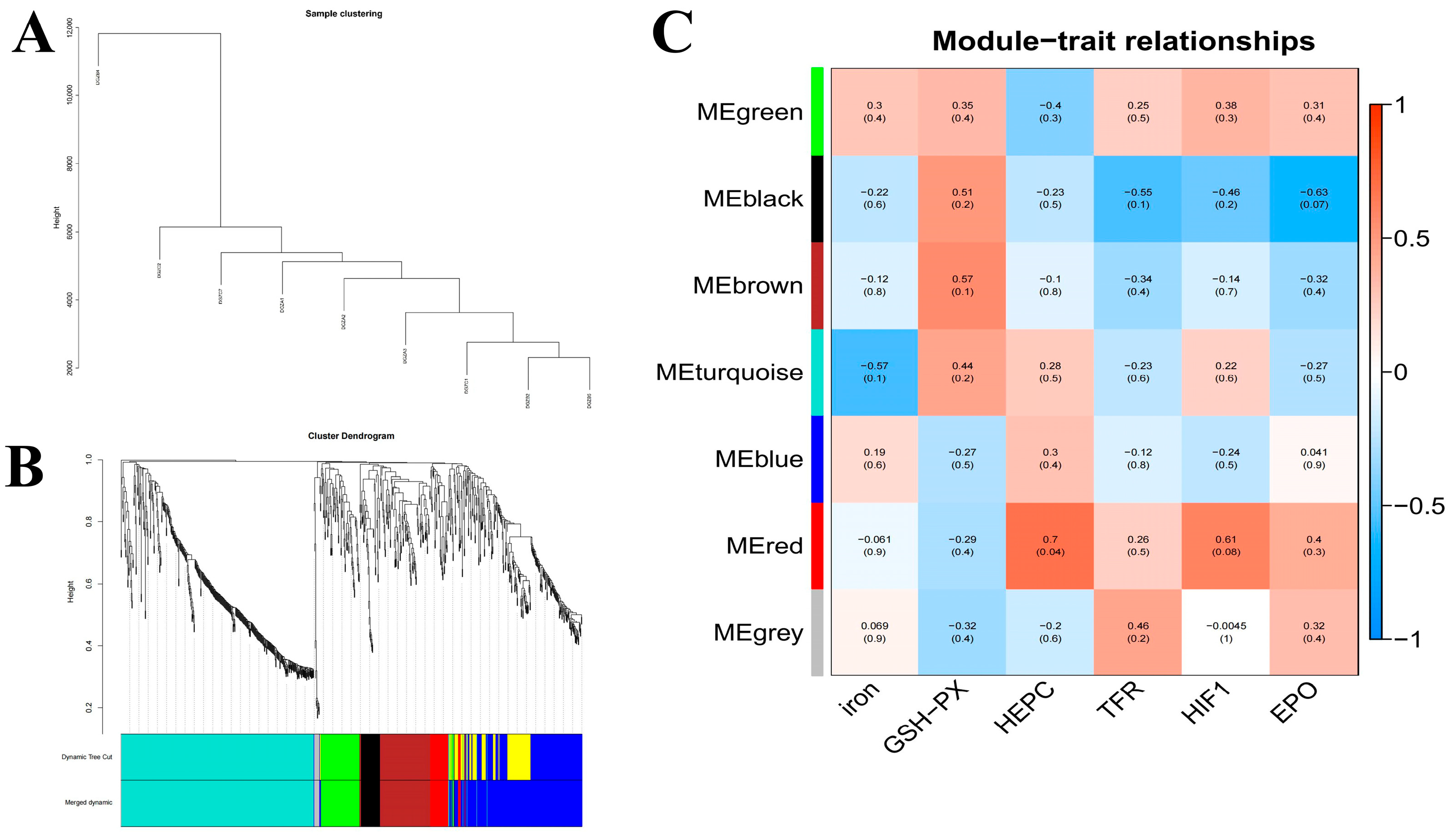 Cimb 47 00843 g006 Cimb 47 00843 g006