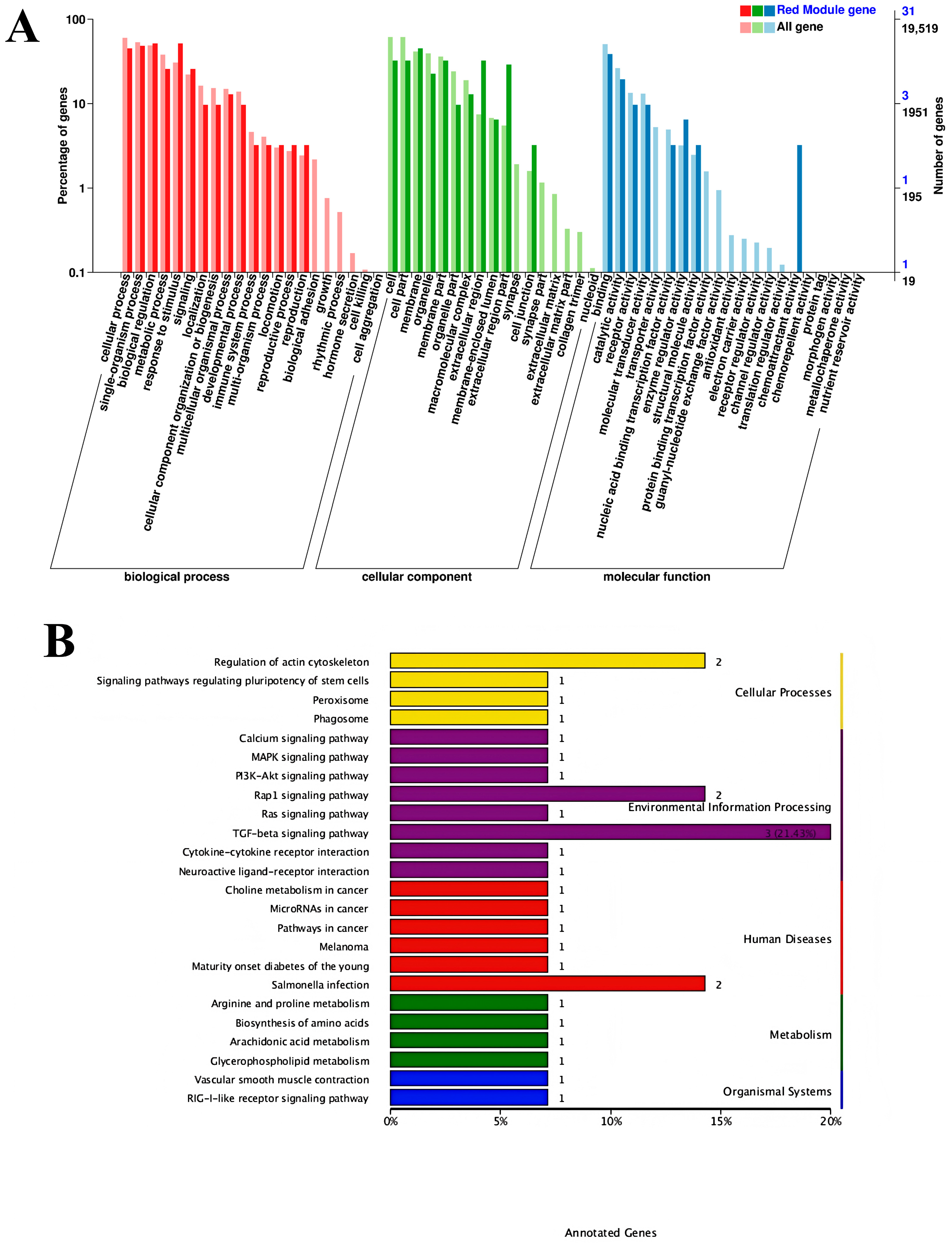 Cimb 47 00843 g007 Cimb 47 00843 g007