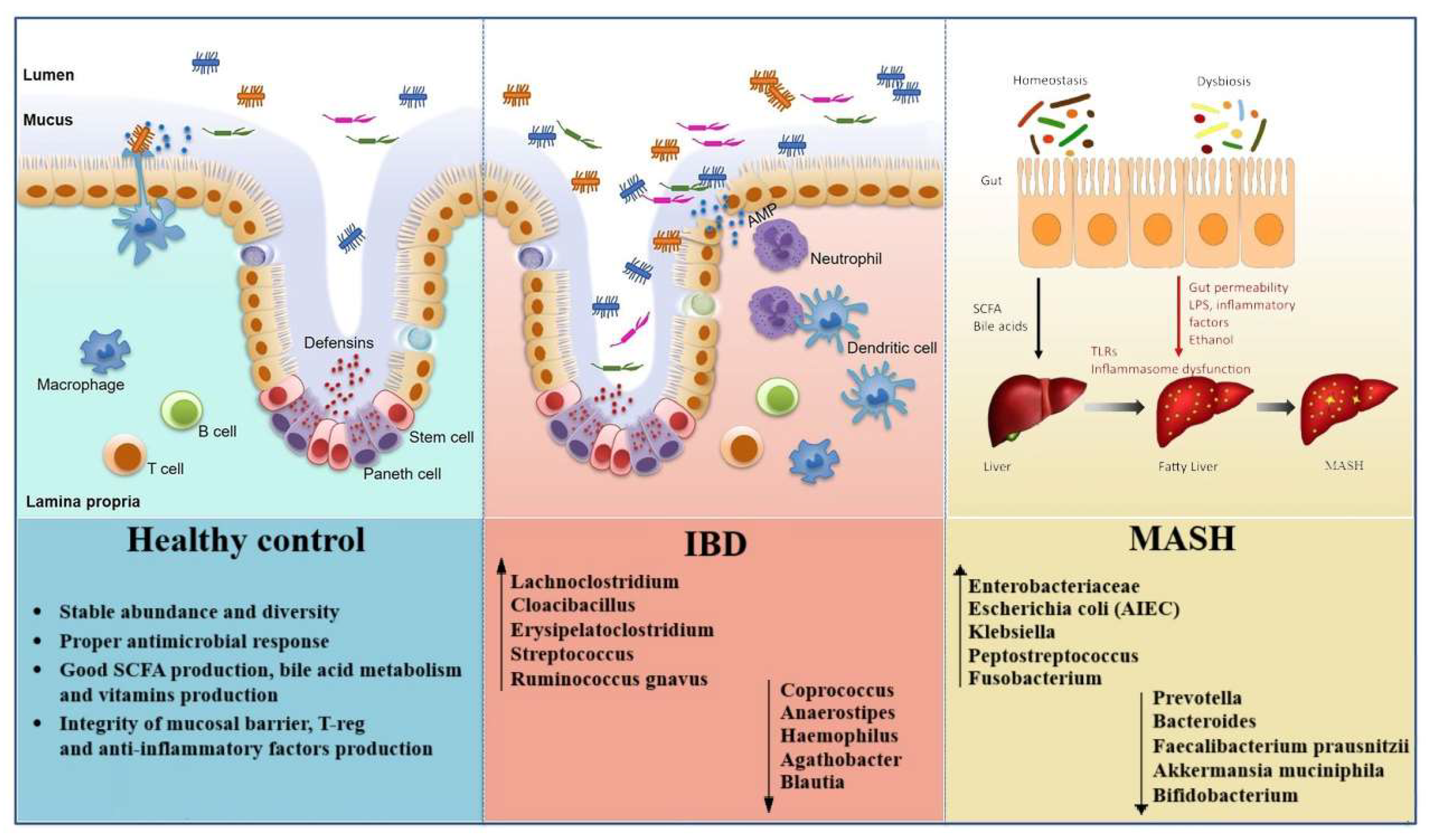 Cimb 47 00847 g001 Cimb 47 00847 g001