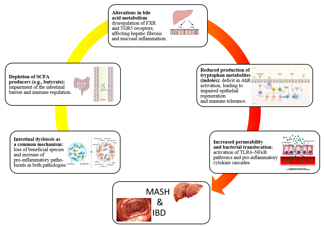Cimb 47 00847 g002 Cimb 47 00847 g002