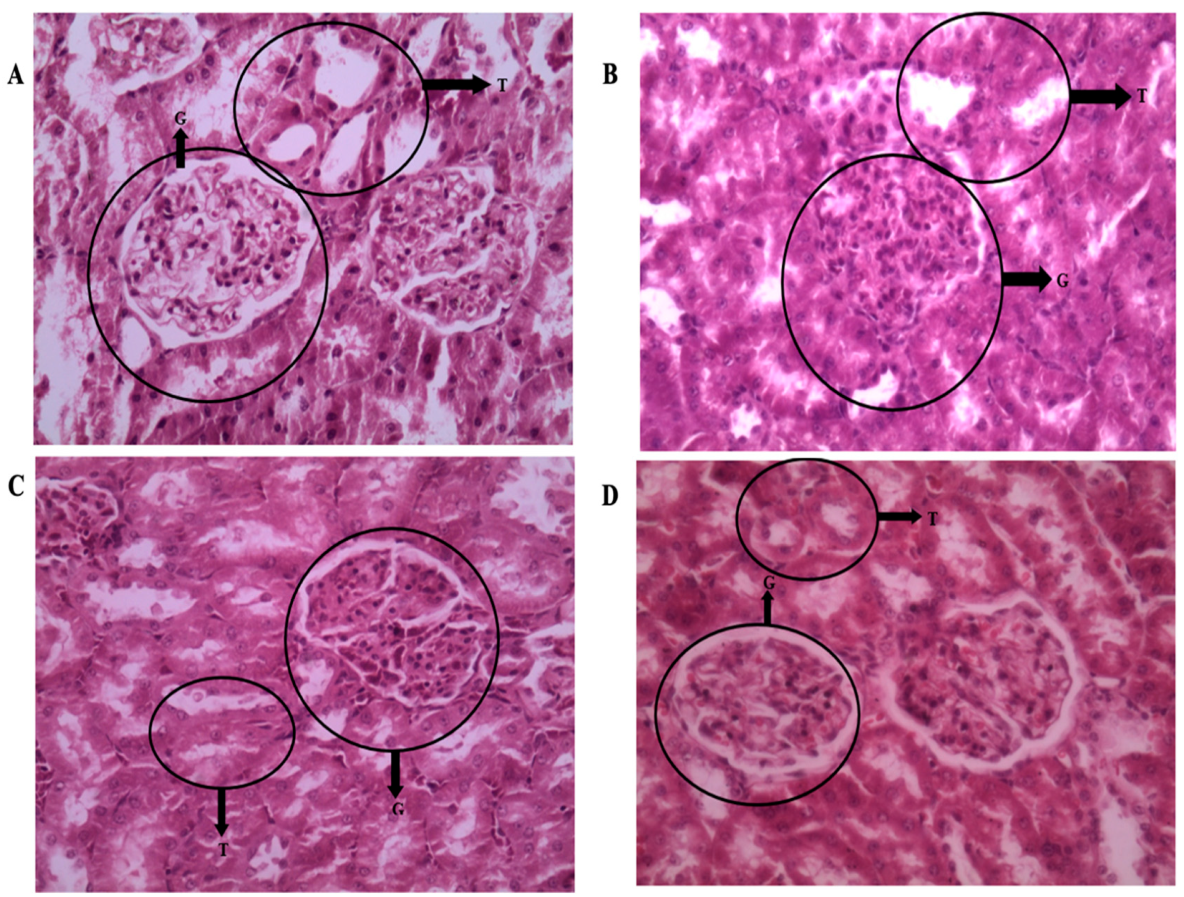 Cimb 47 00848 g009 Cimb 47 00848 g009