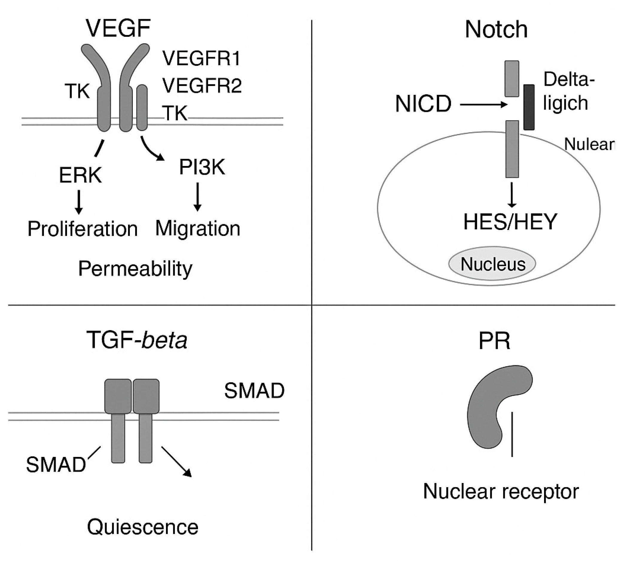 Cimb 47 00851 g003 Cimb 47 00851 g003