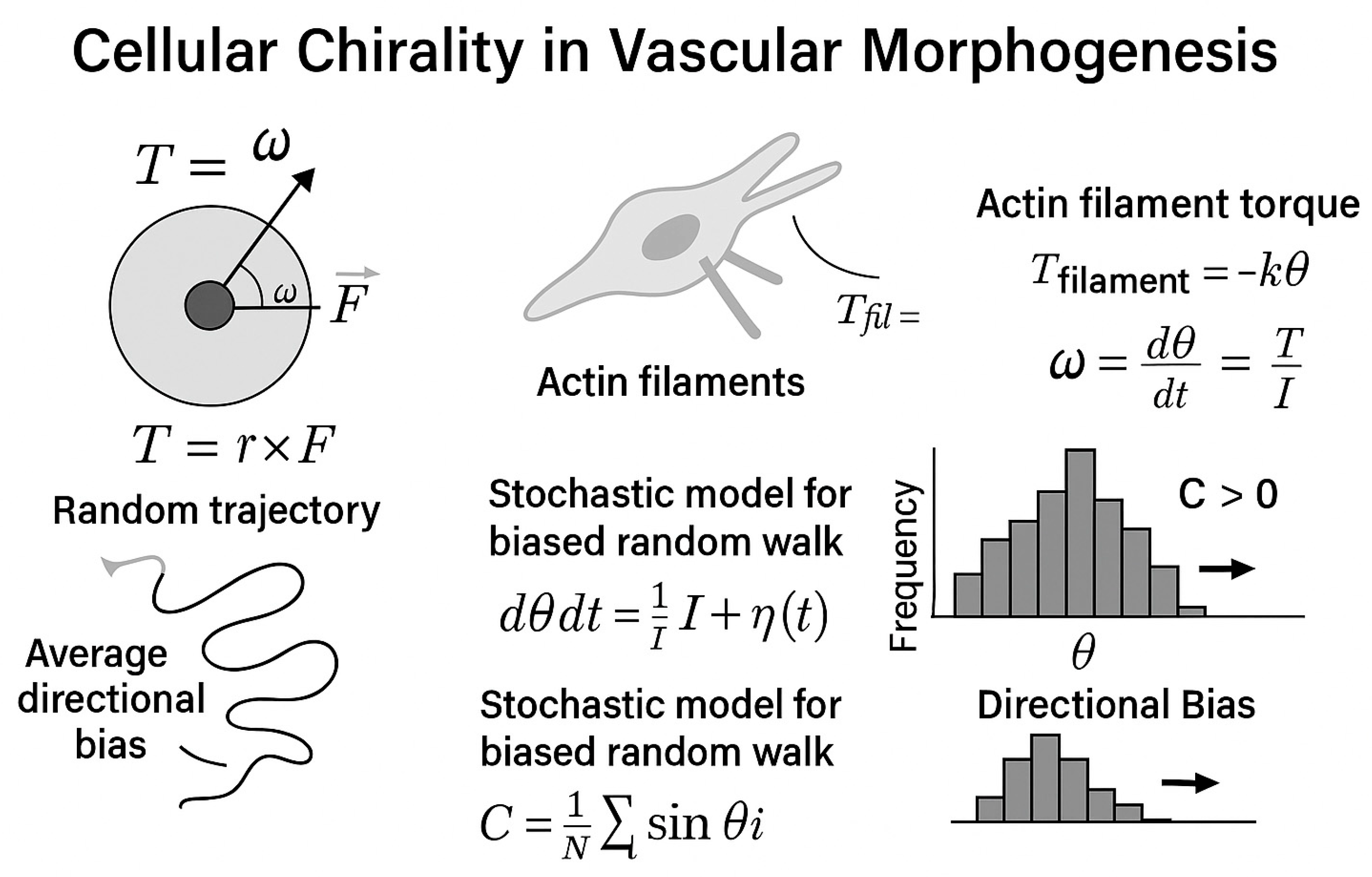 Cimb 47 00851 g004 Cimb 47 00851 g004