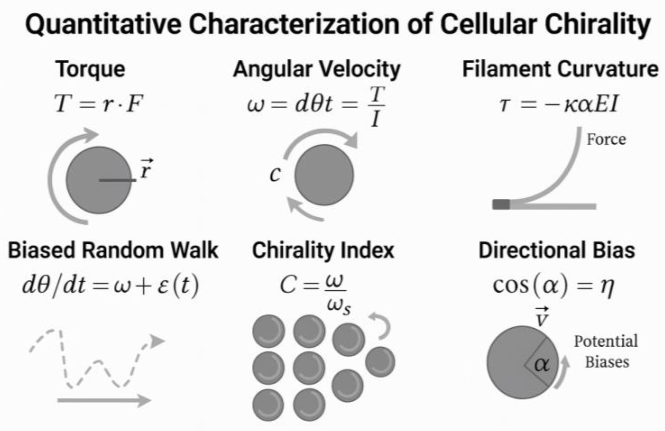 Cimb 47 00851 g005 Cimb 47 00851 g005