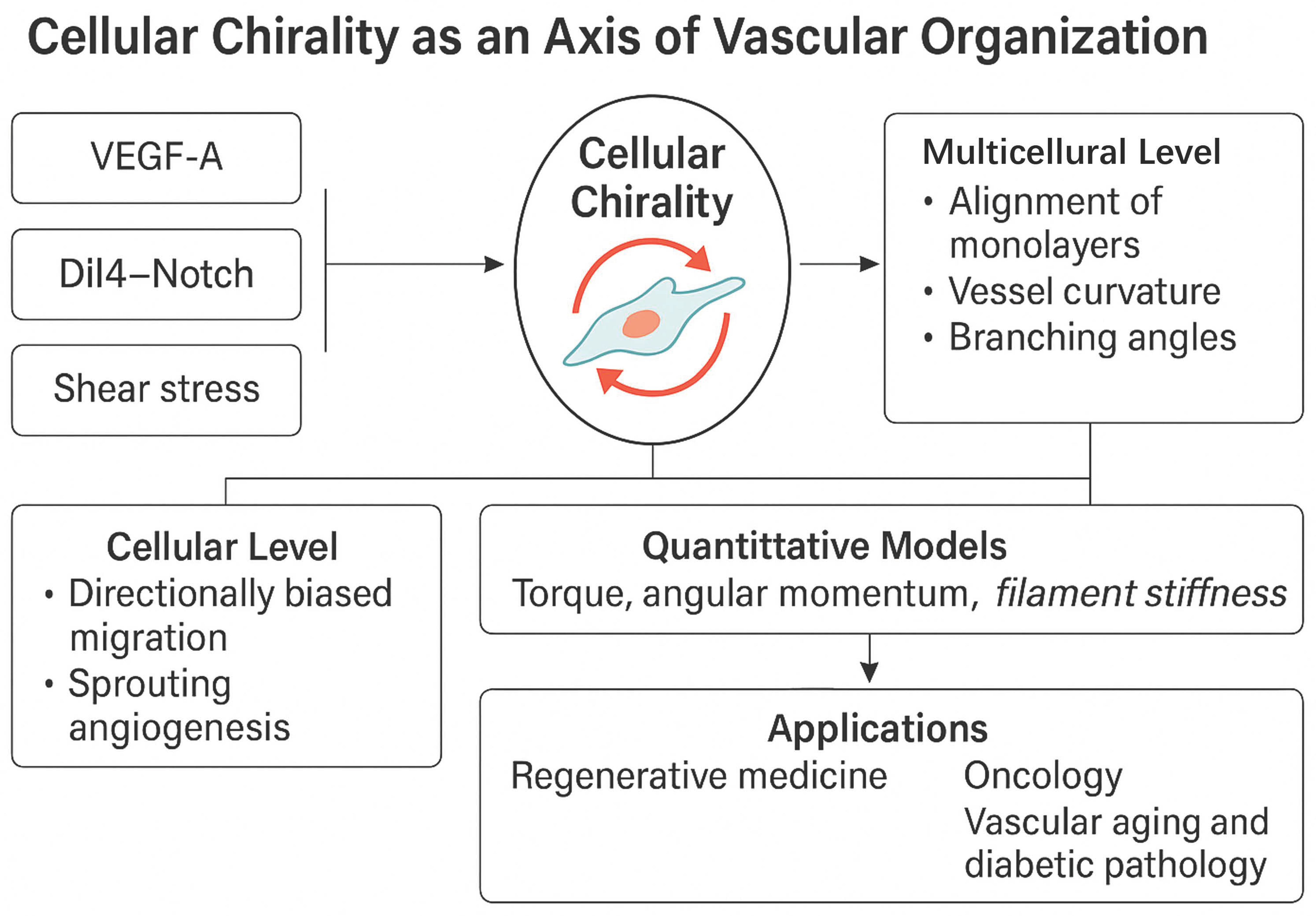 Cimb 47 00851 g006 Cimb 47 00851 g006