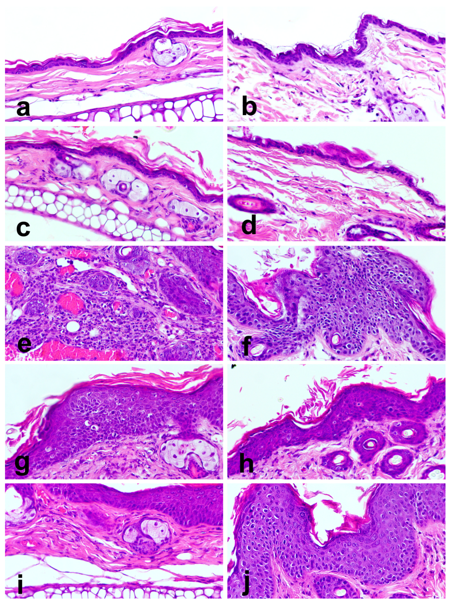 Cimb 47 00858 g005 Cimb 47 00858 g005